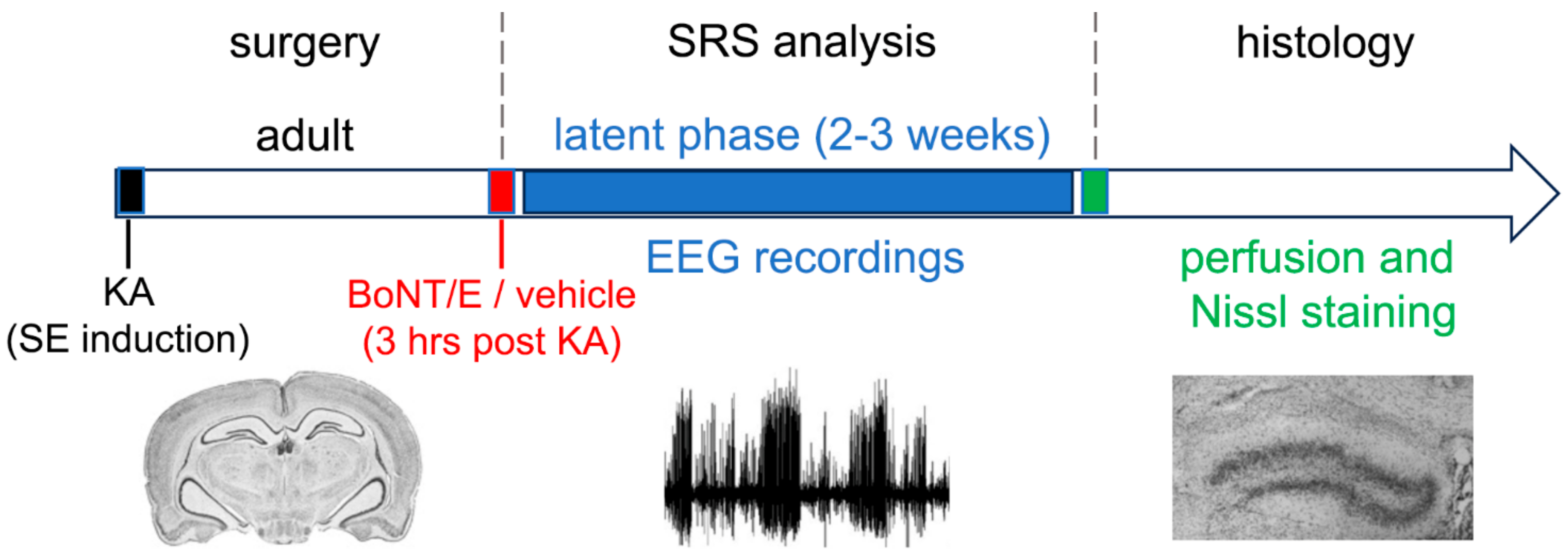 Toxins 15 00550 g002