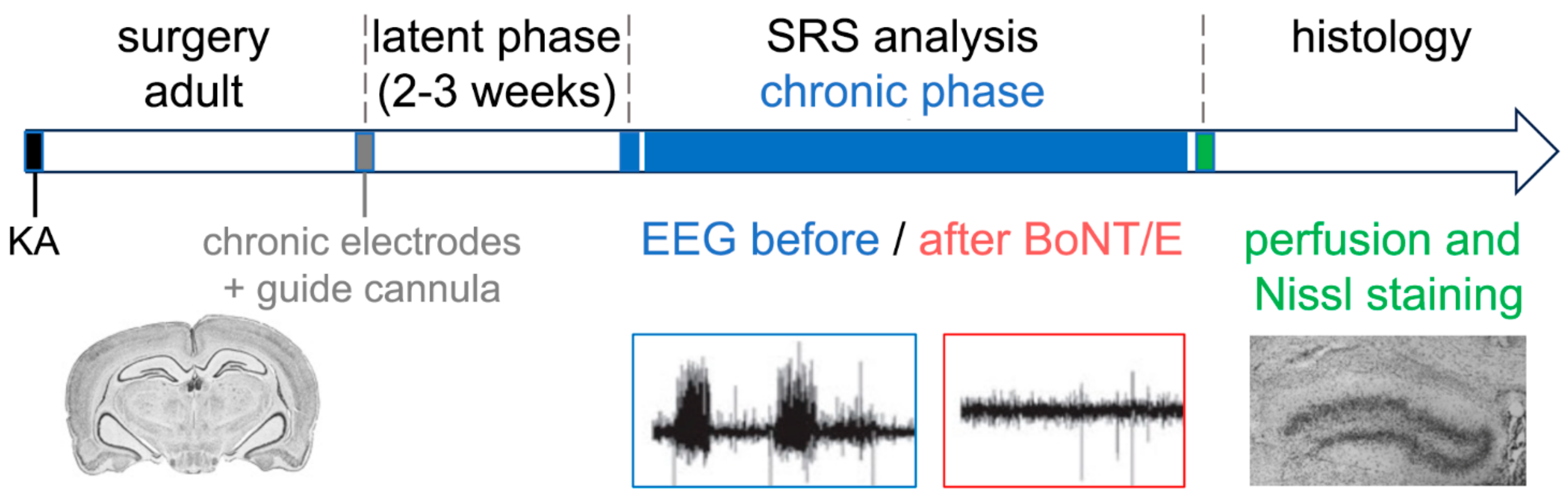 Toxins 15 00550 g003