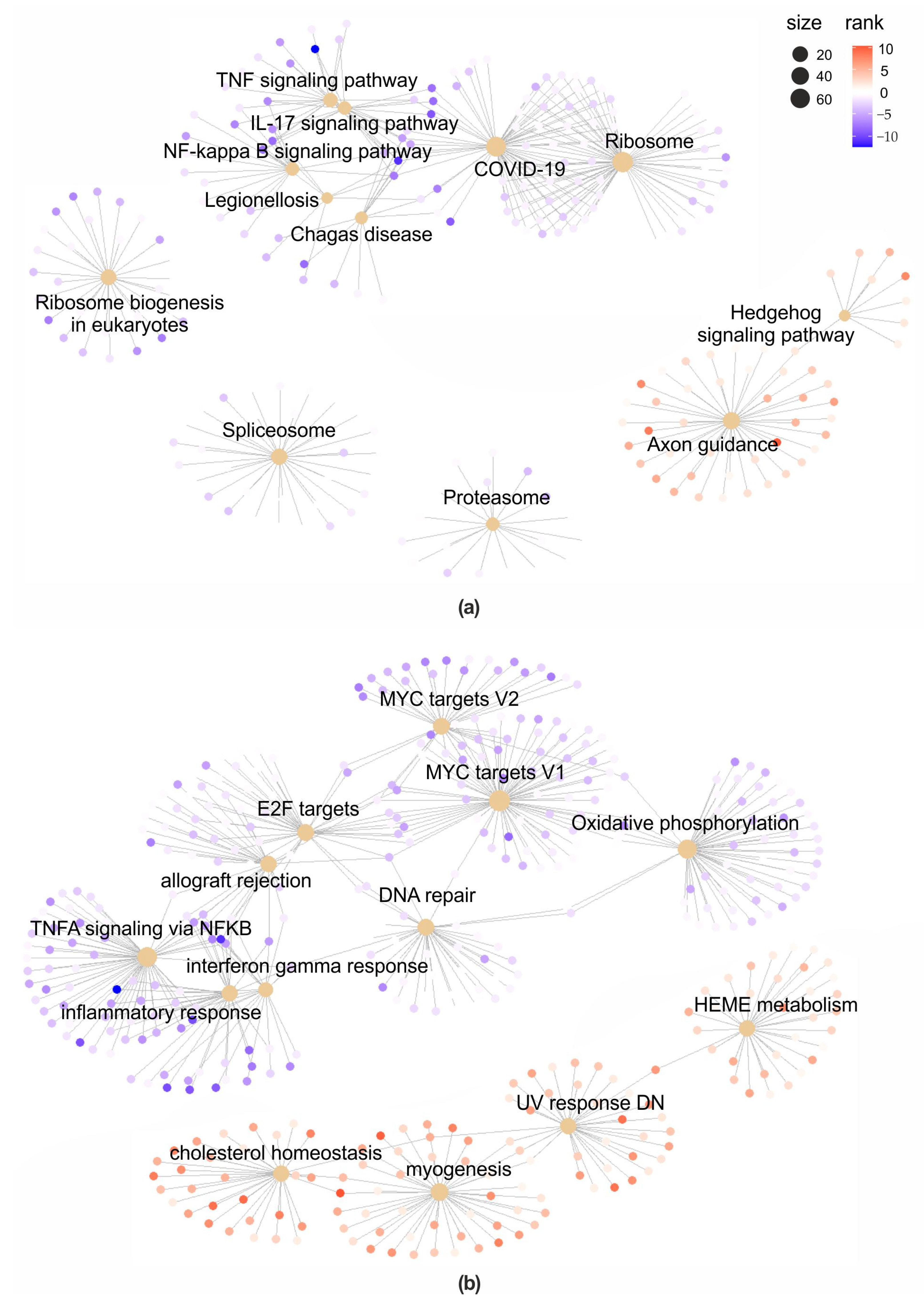 Toxins 15 00555 g005 Toxins 15 00555 g005