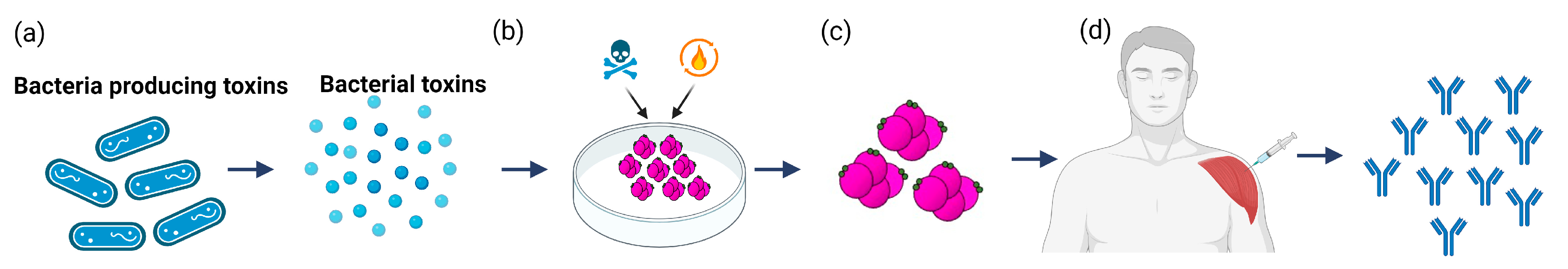 Toxins 15 00563 g002