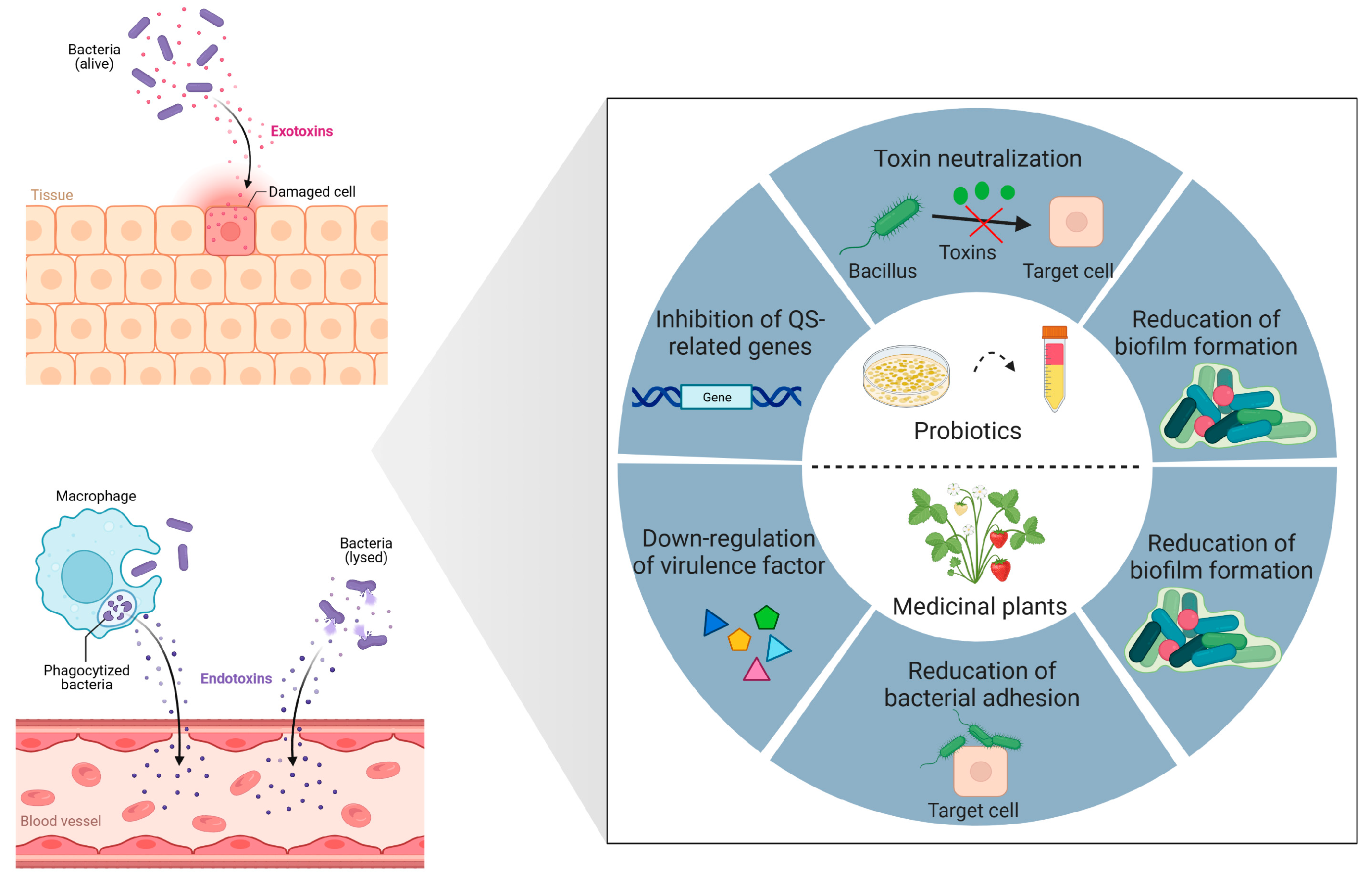 Toxins 15 00570 g001