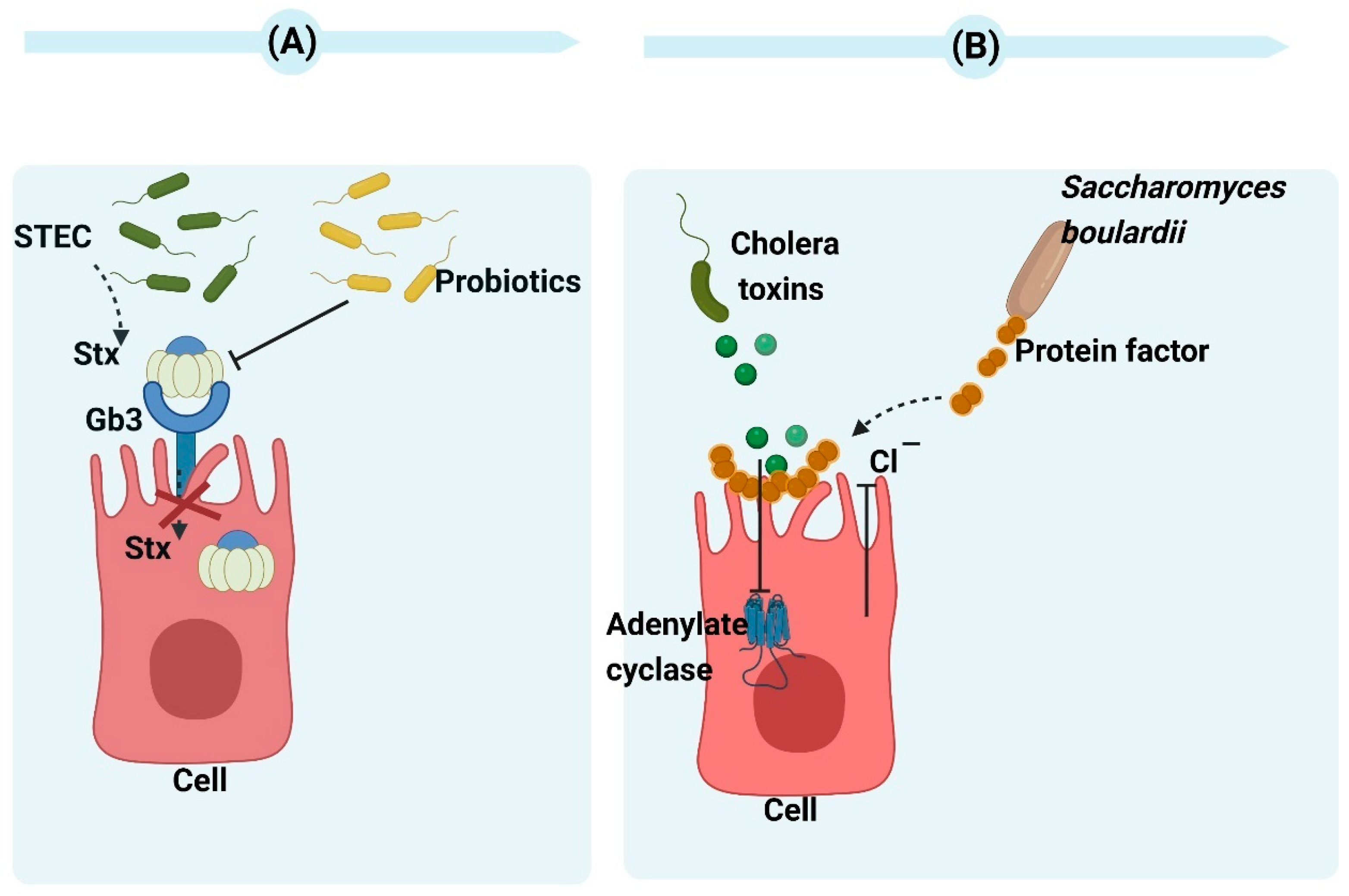 Toxins 15 00570 g002