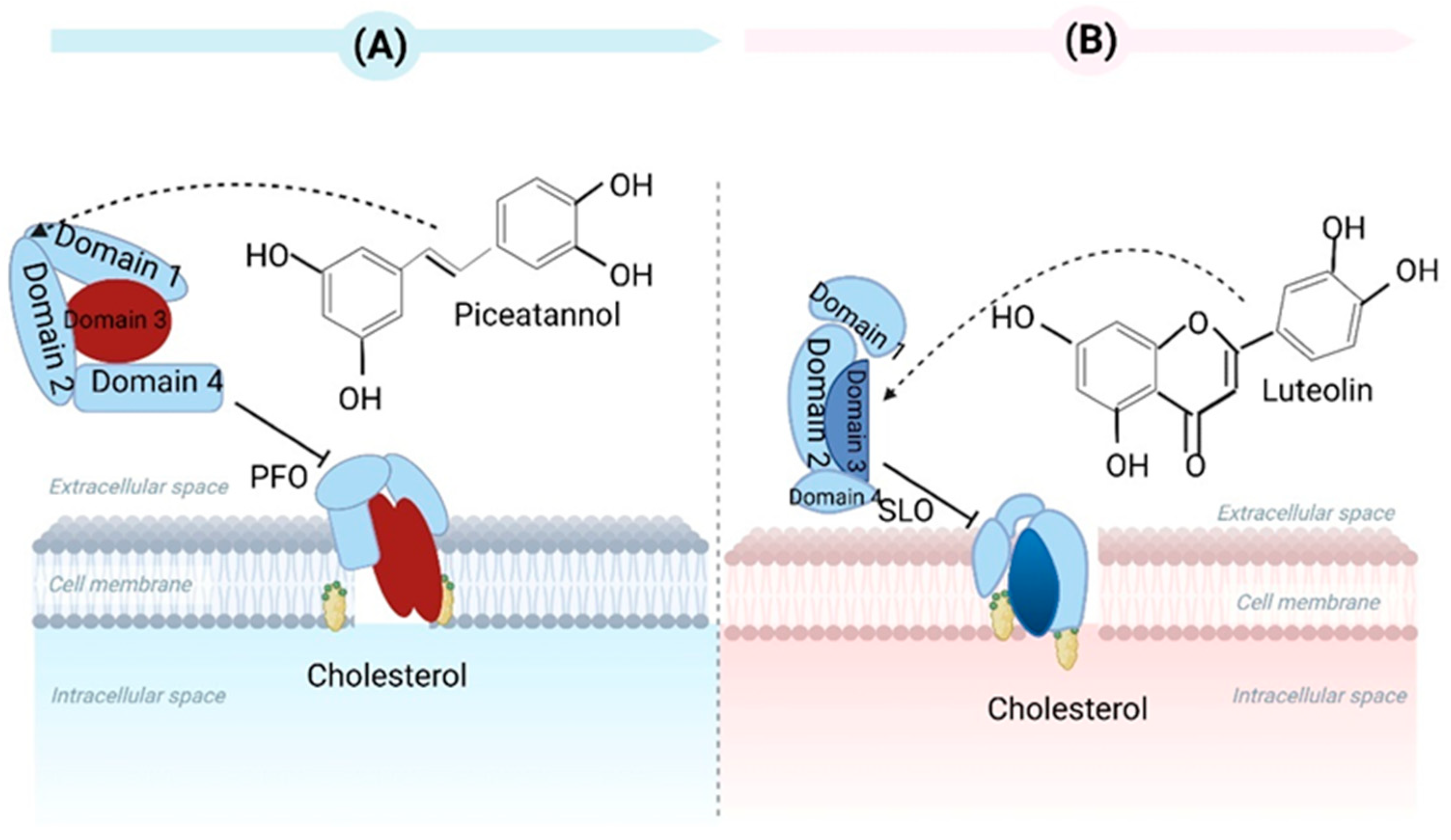 Toxins 15 00570 g003