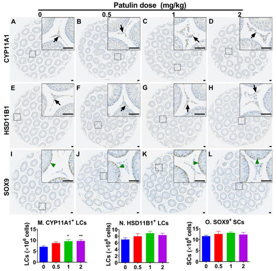 Toxins 15 00581 g002