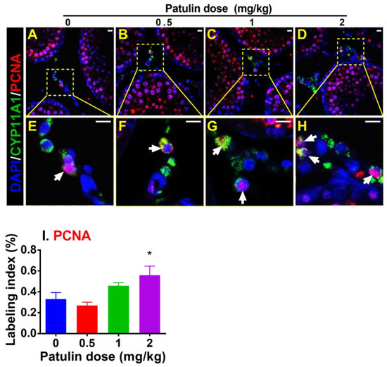 Toxins 15 00581 g003