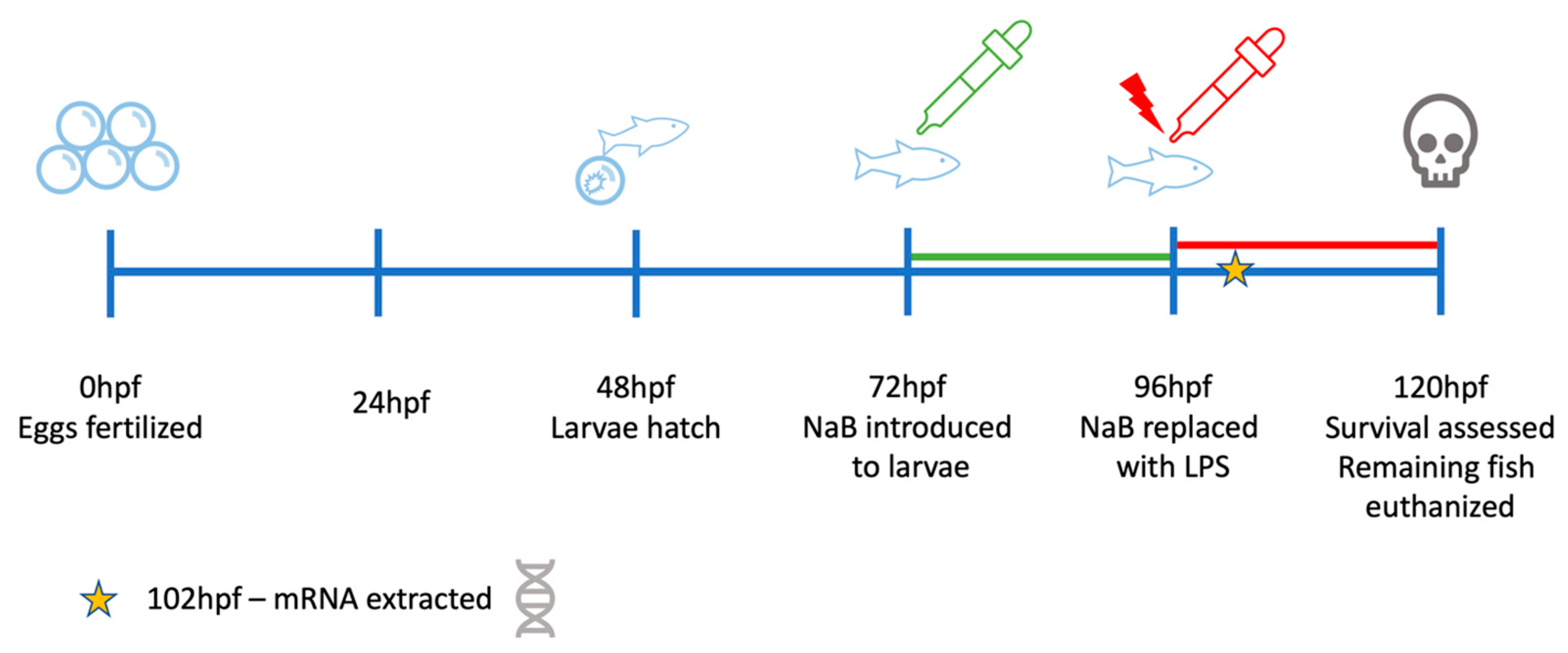 Toxins 15 00588 g001