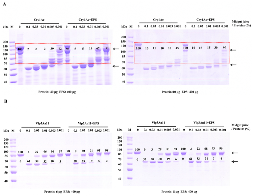 Toxins 15 00590 g005