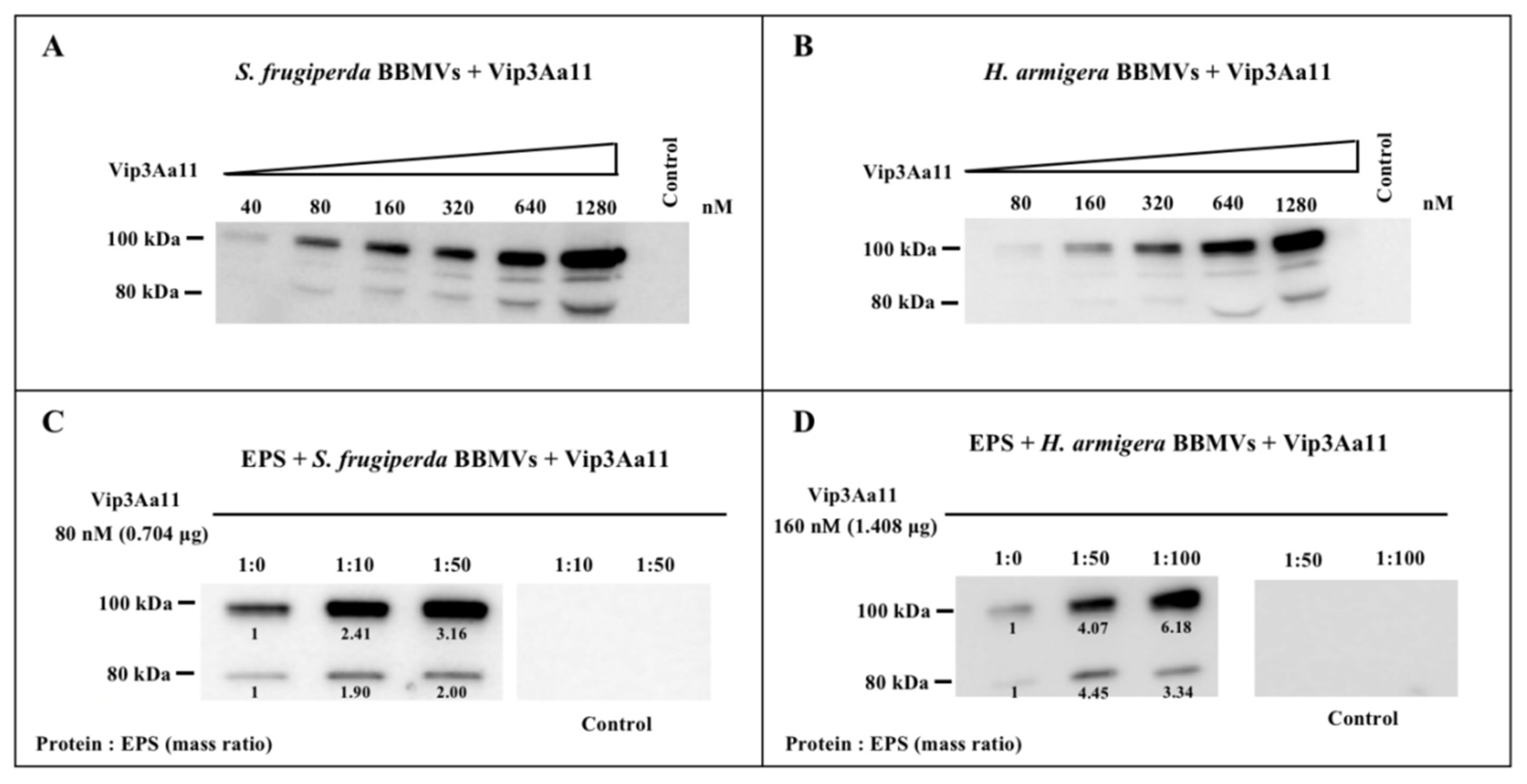 Toxins 15 00590 g006