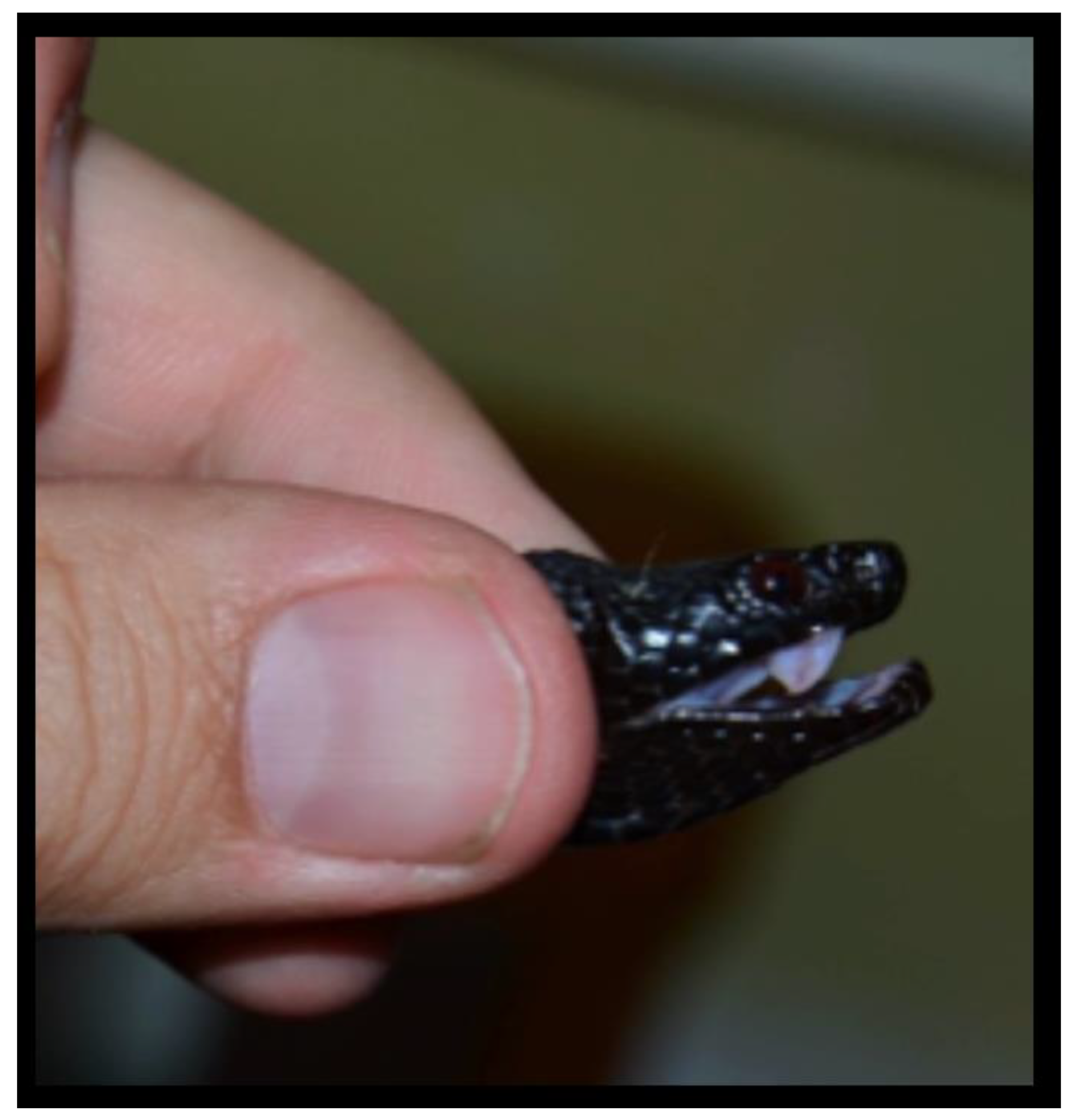 Toxins 15 00598 g001