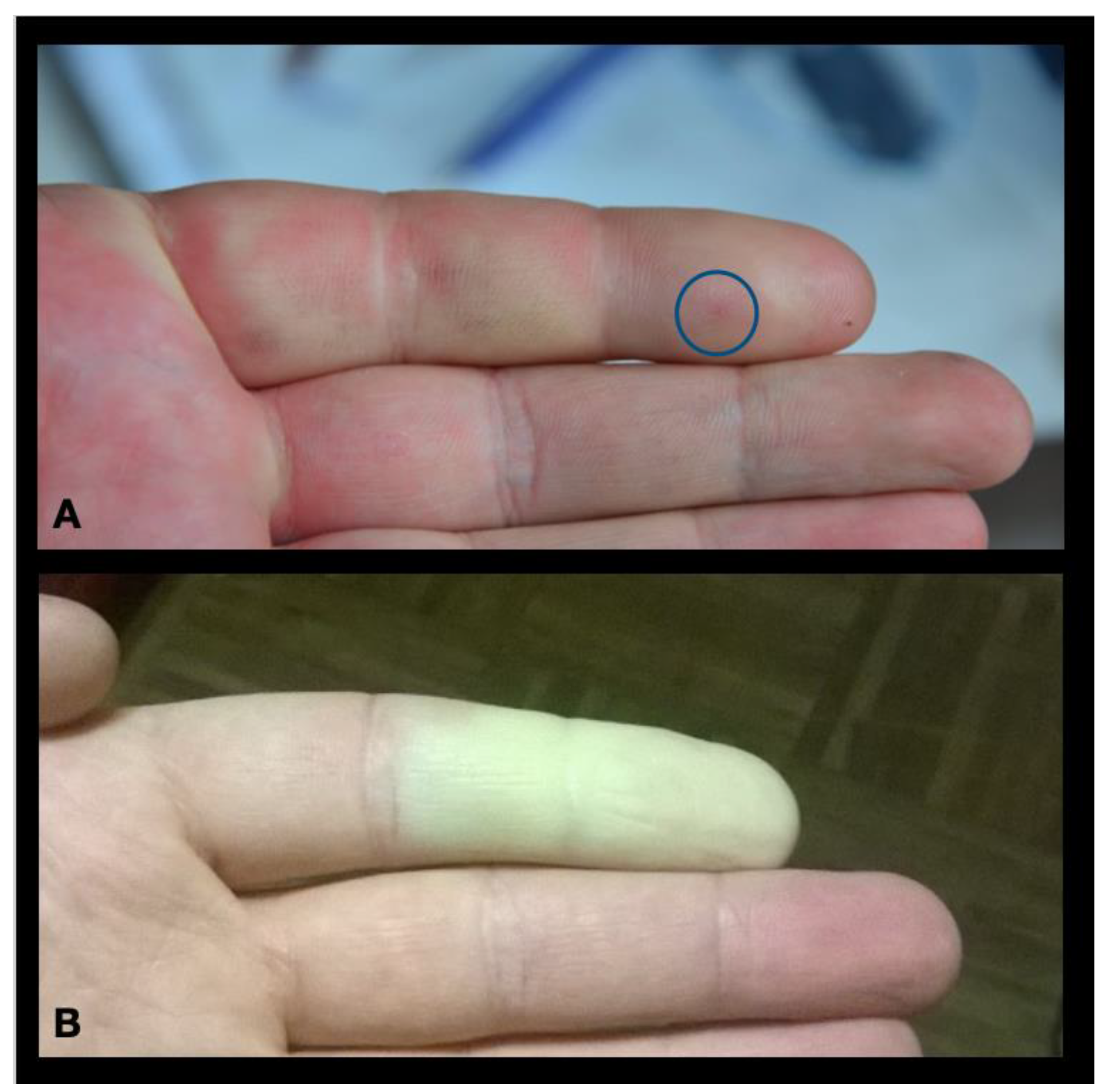 Toxins 15 00598 g002