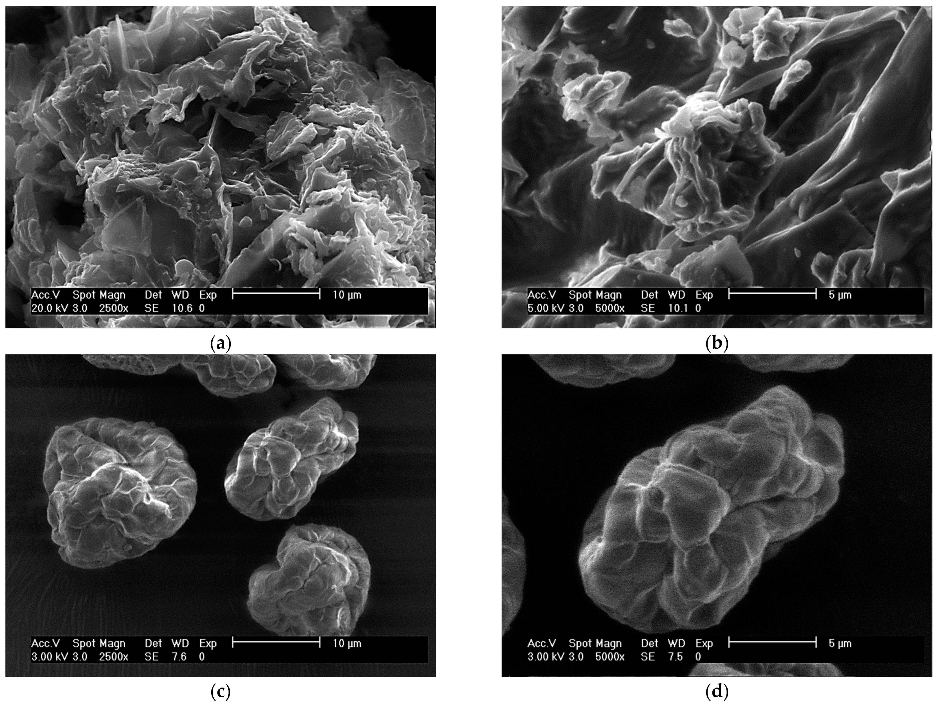 Toxins 15 00604 g005
