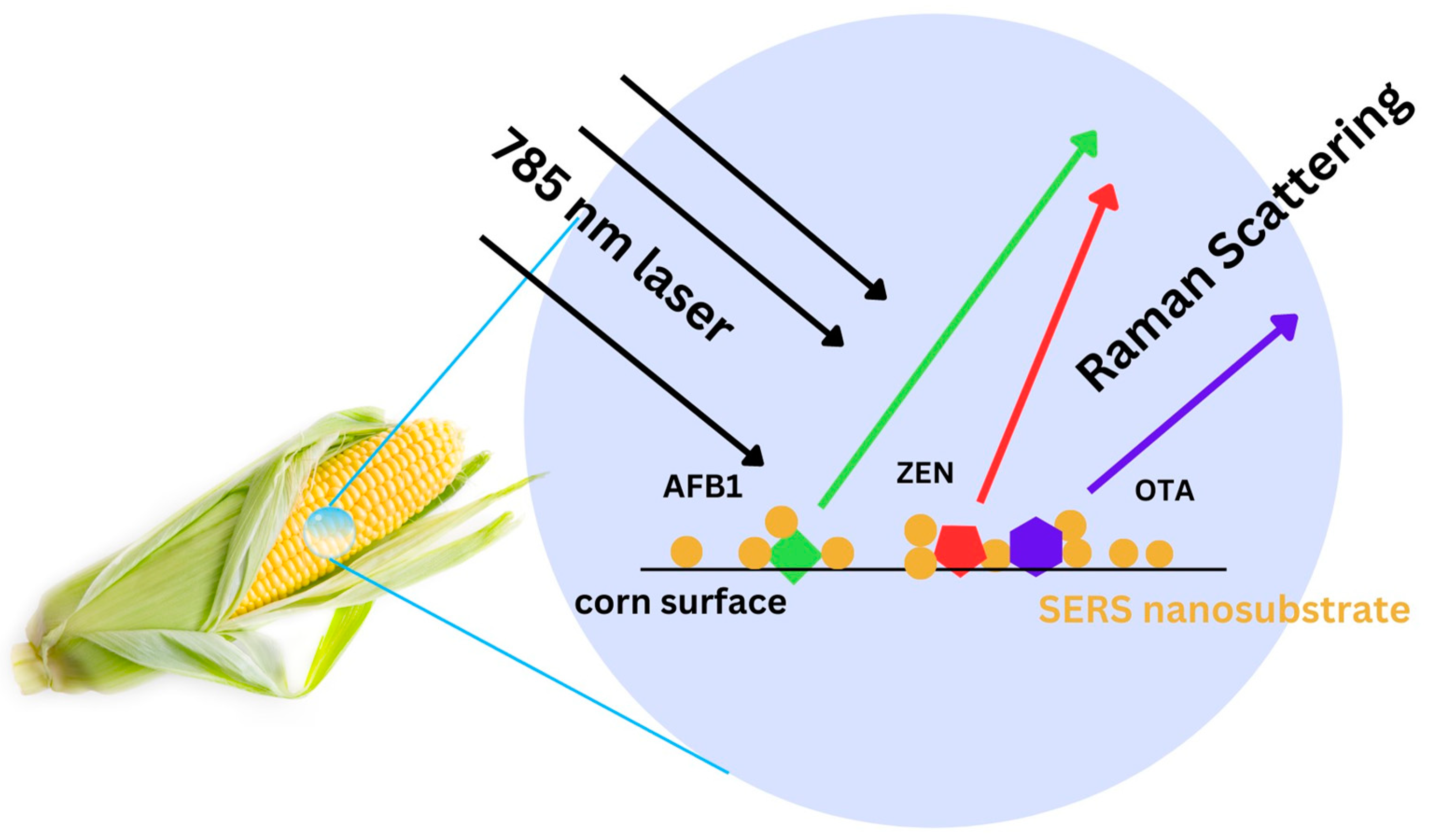 Toxins 15 00610 g001