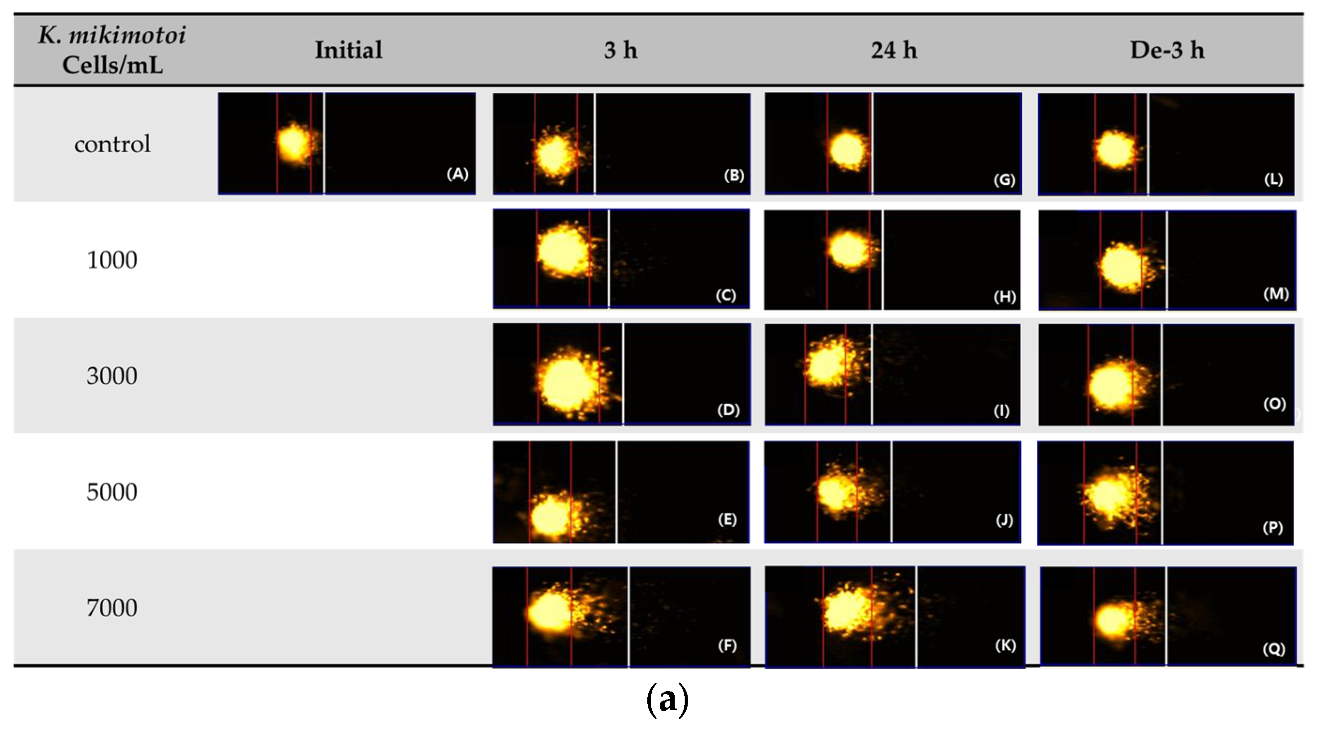 Toxins 15 00620 g005a