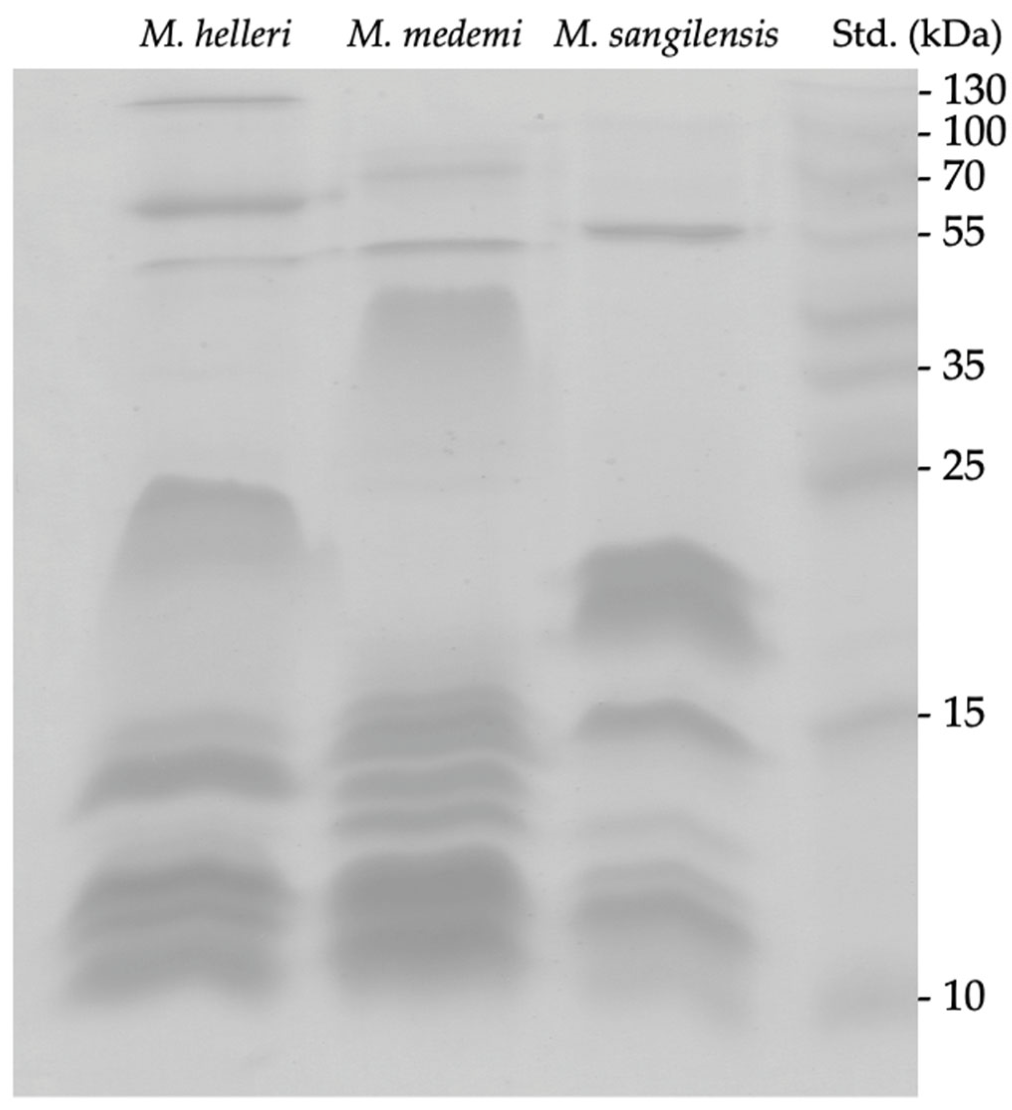 Toxins 15 00622 g001