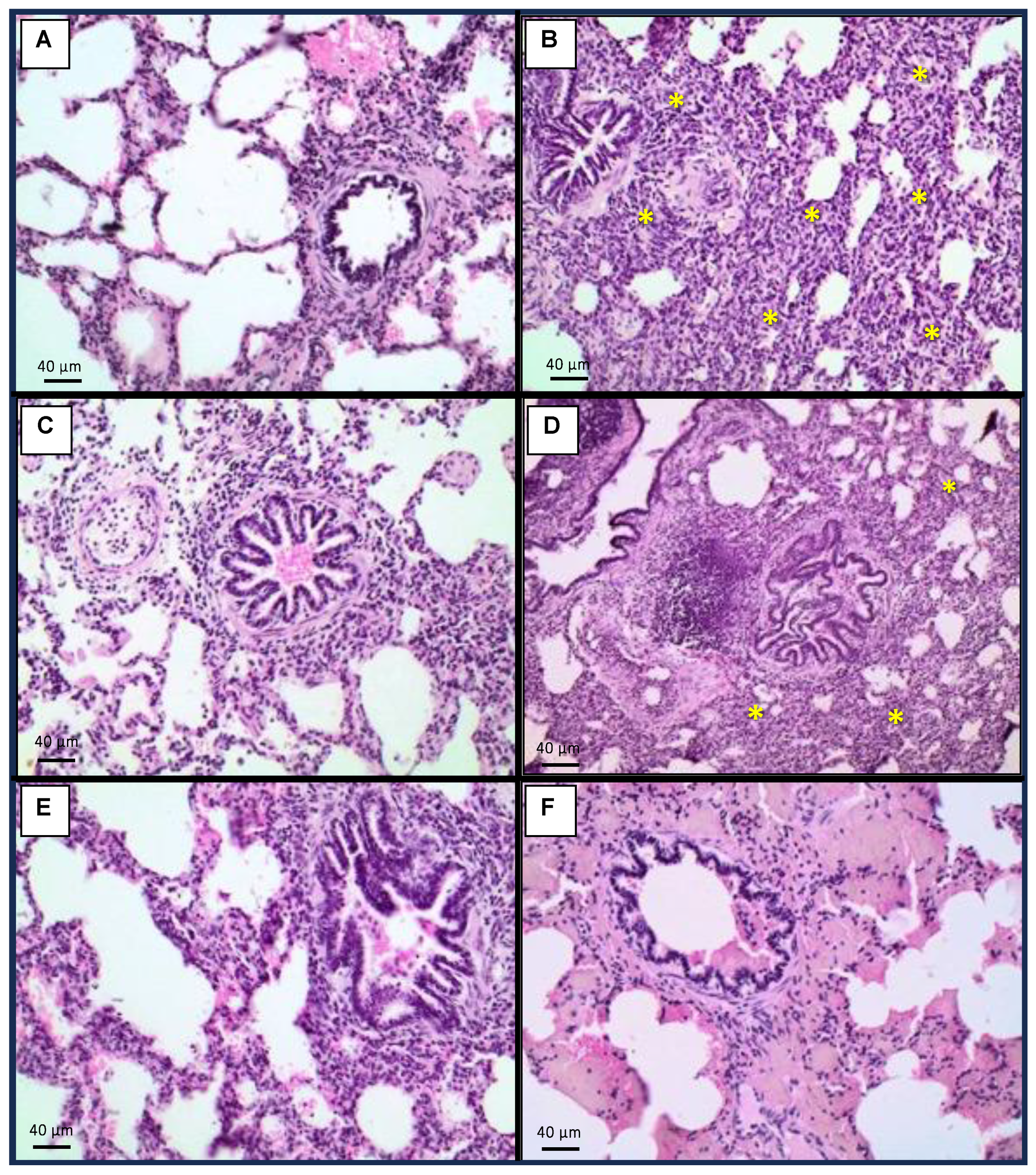 Toxins 15 00629 g003