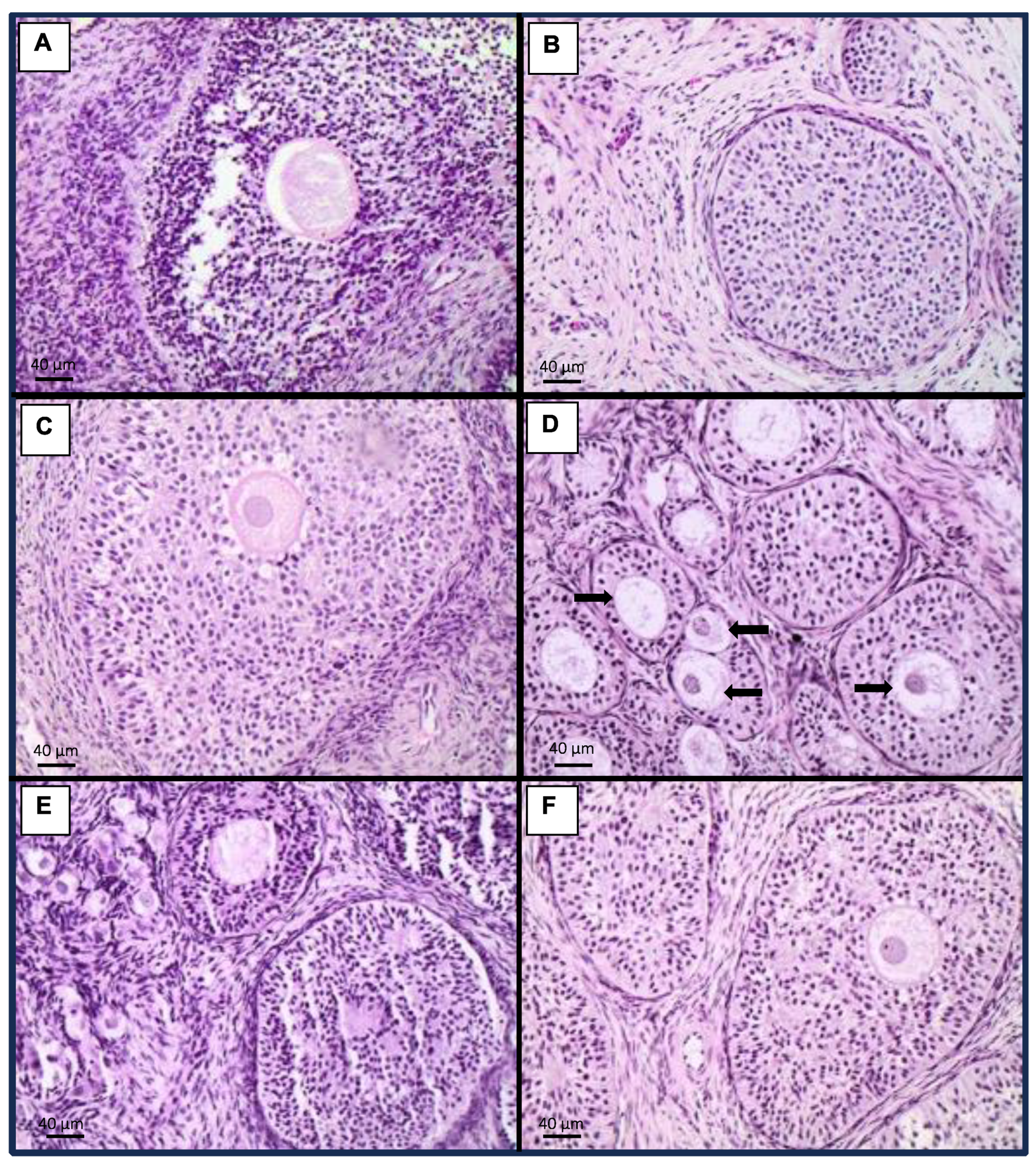 Toxins 15 00629 g004