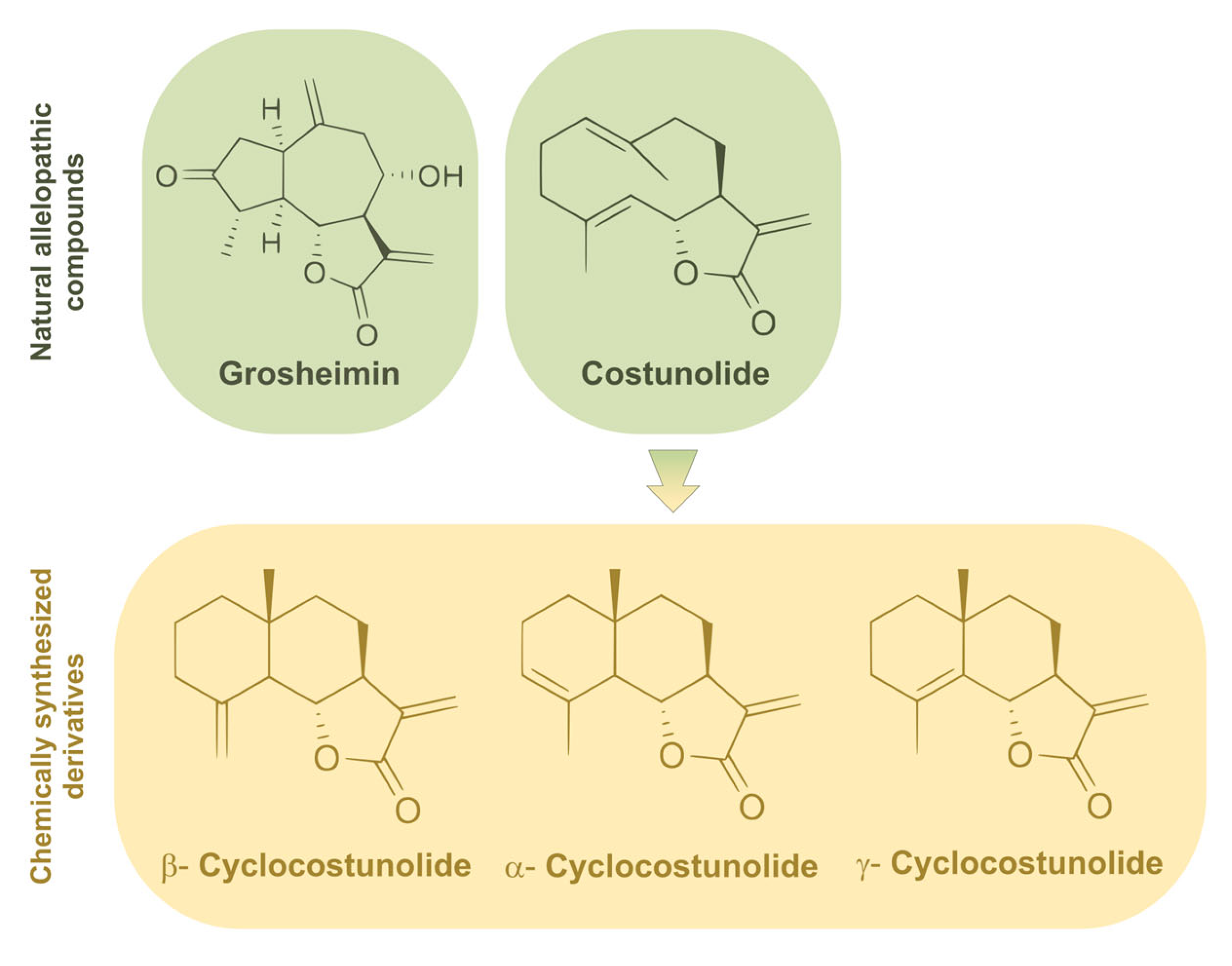Toxins 15 00632 g001