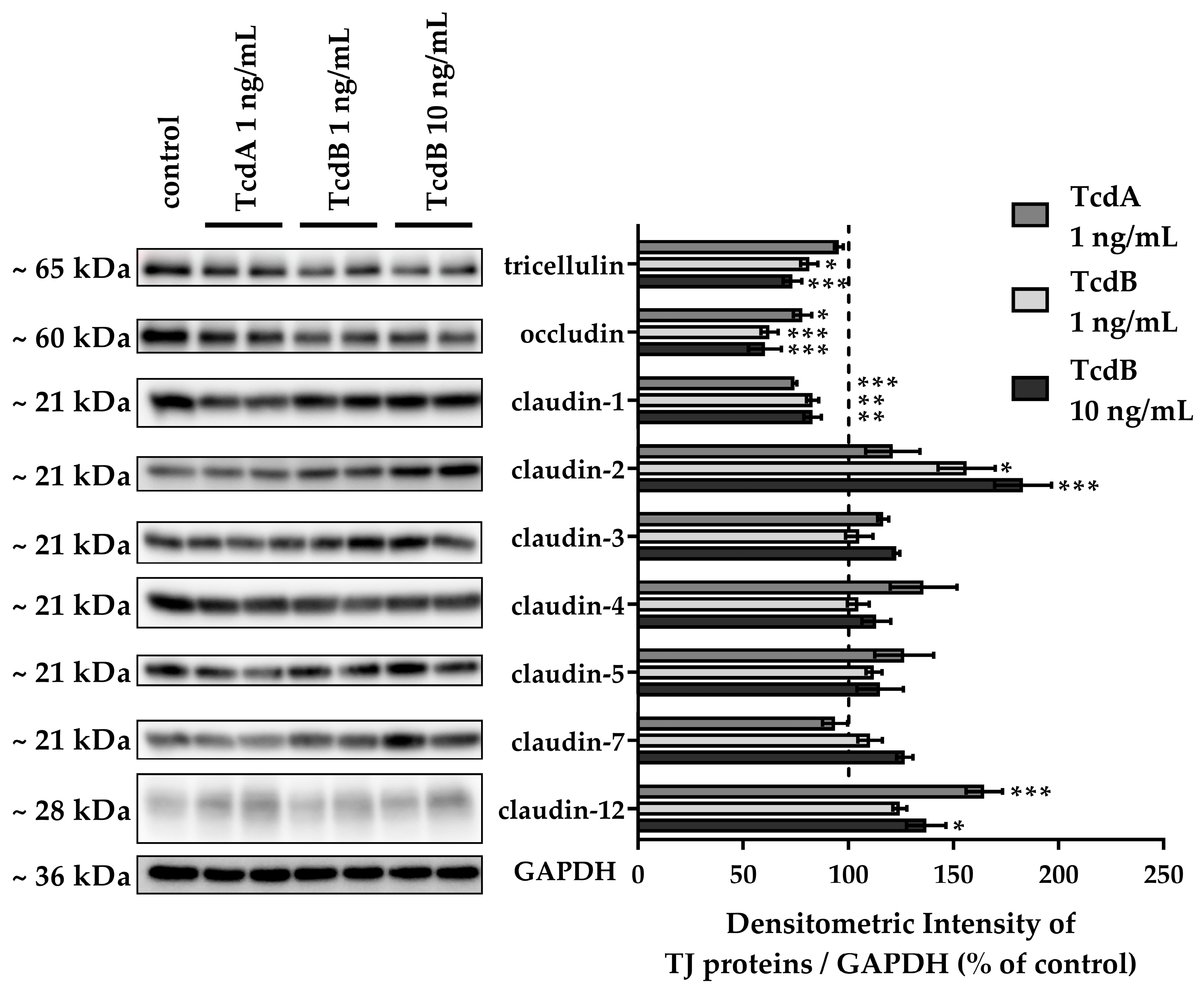 Toxins 15 00643 g004