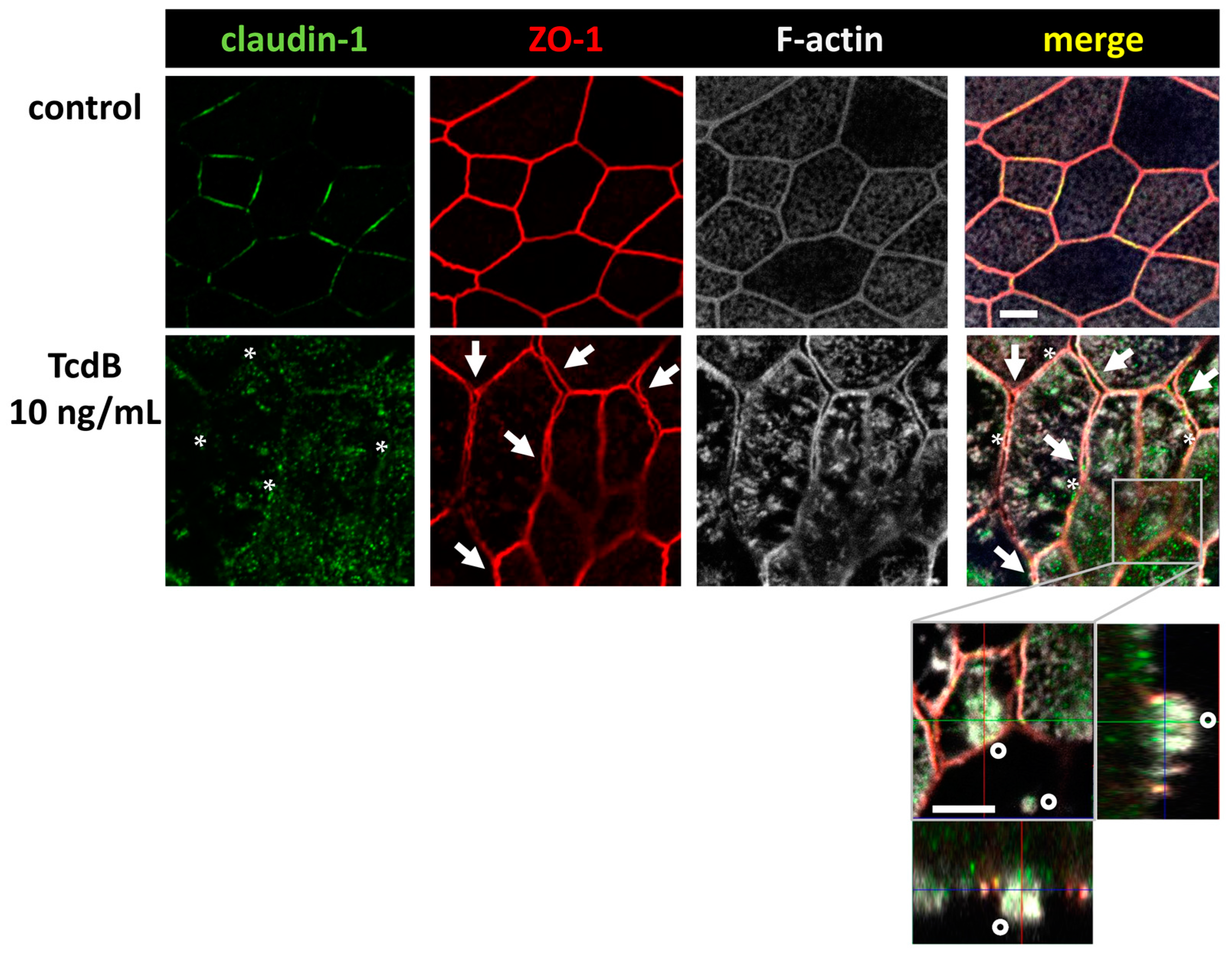 Toxins 15 00643 g005