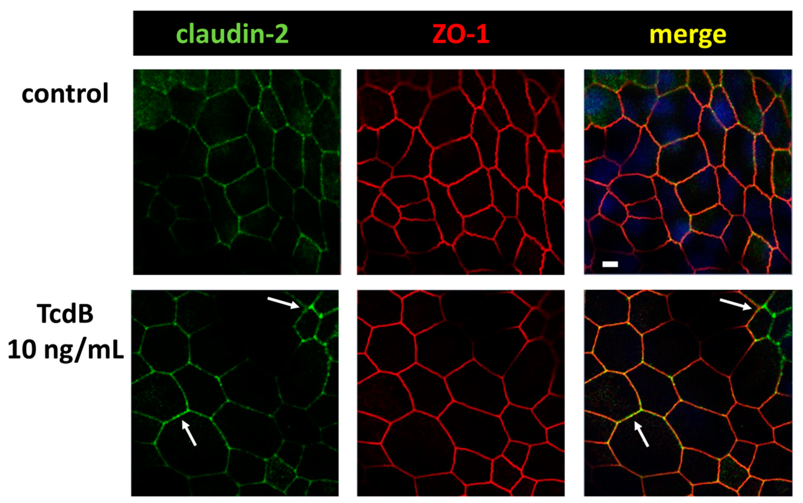 Toxins 15 00643 g006