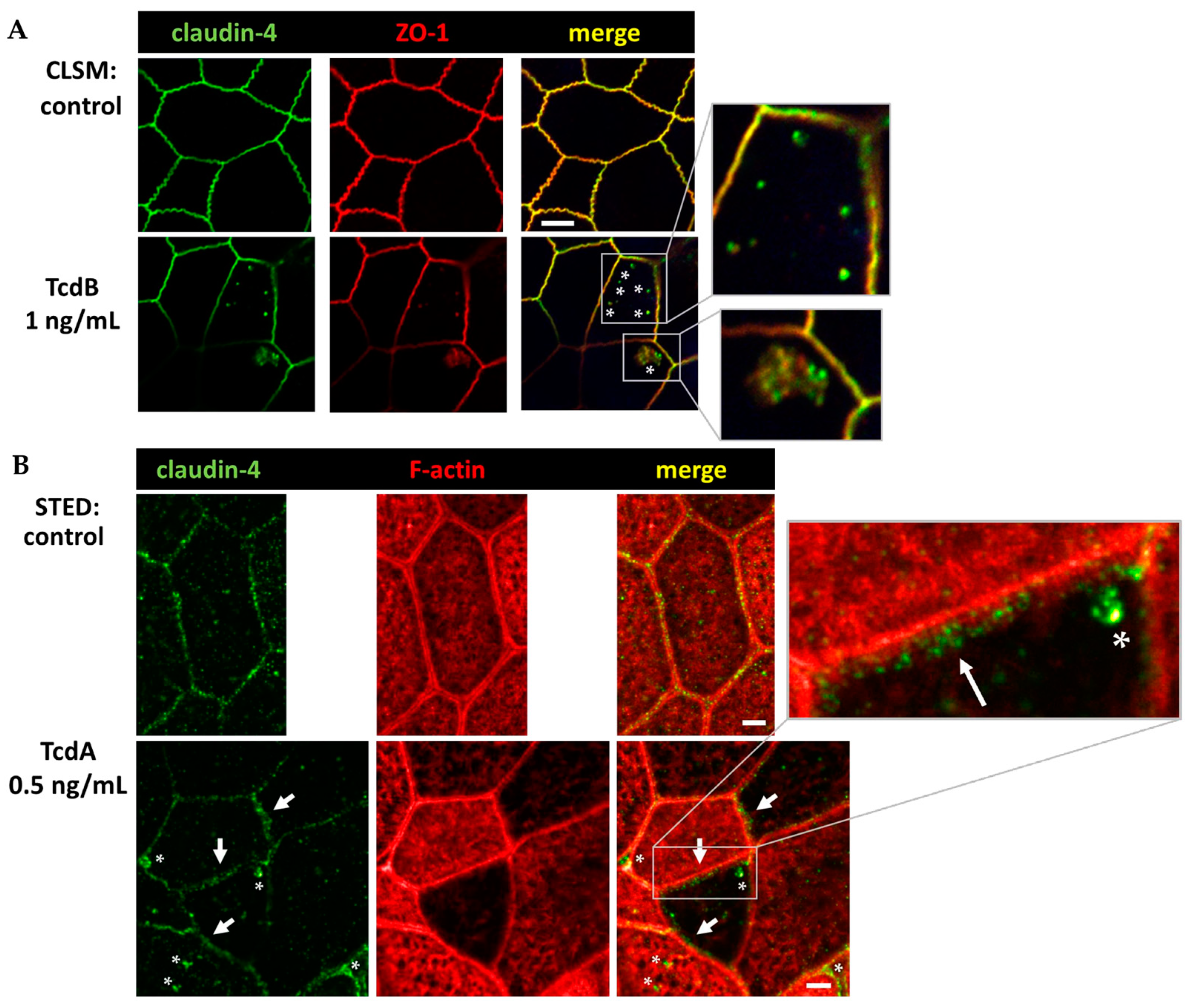 Toxins 15 00643 g008