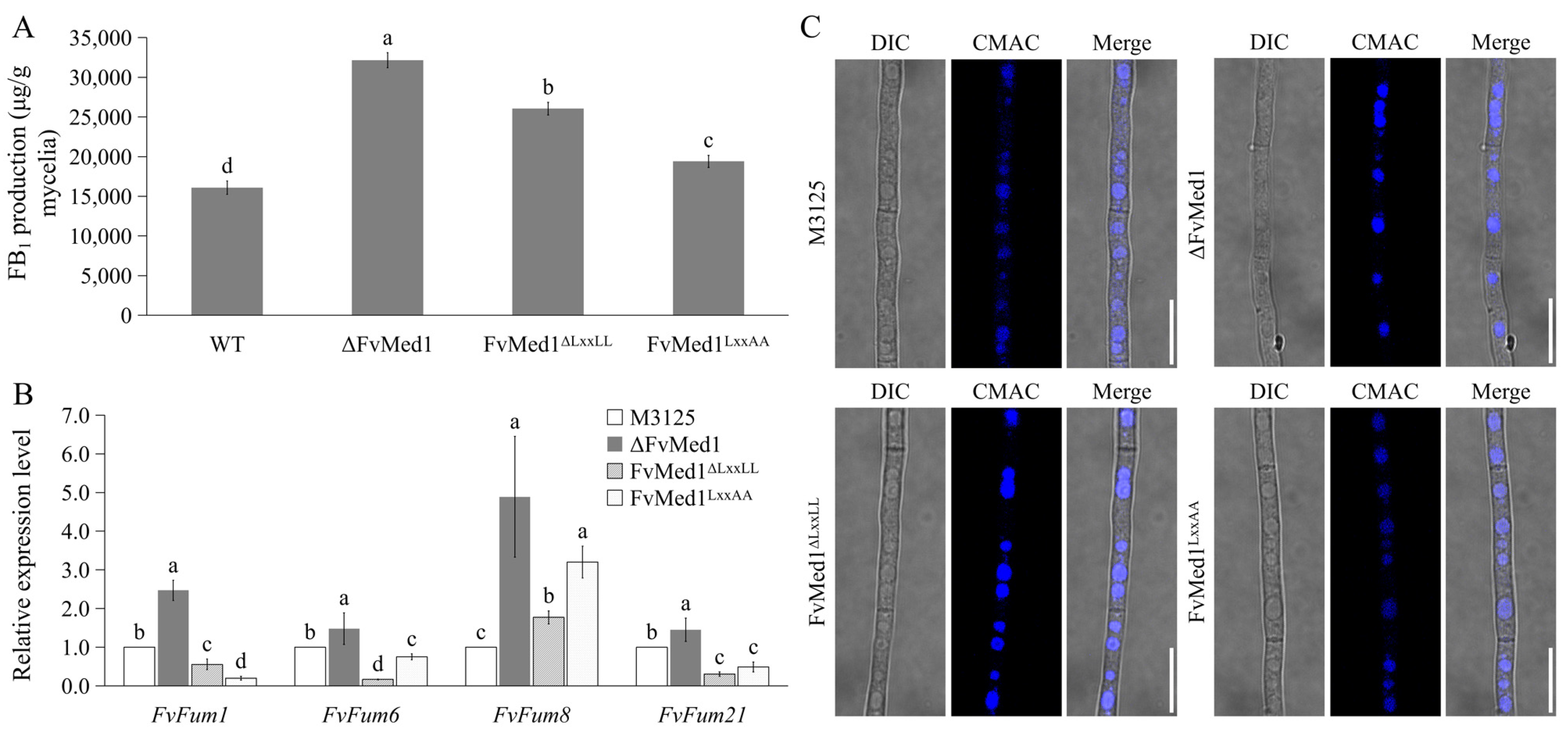 Toxins 15 00652 g003