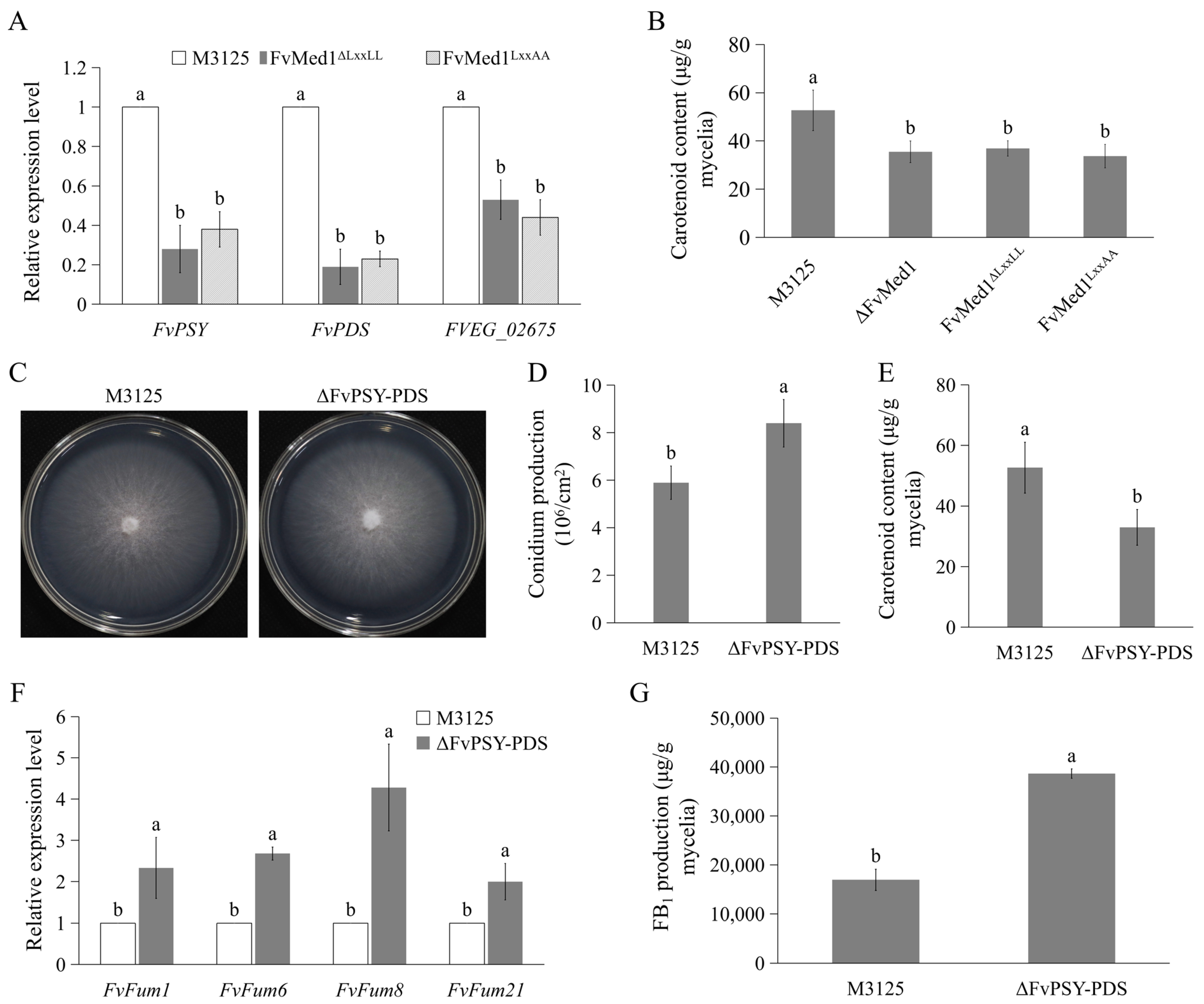 Toxins 15 00652 g007