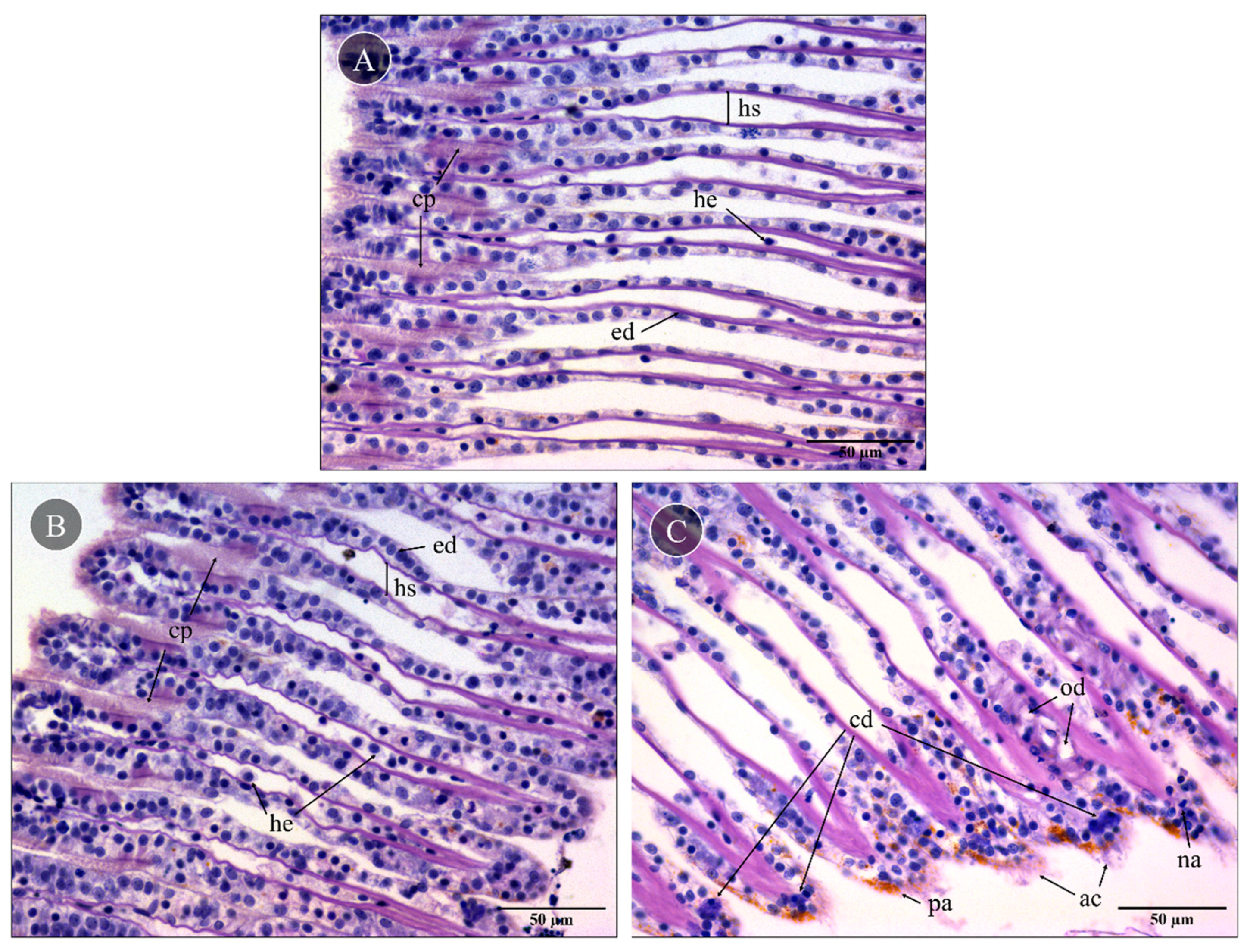 Toxins 15 00655 g003