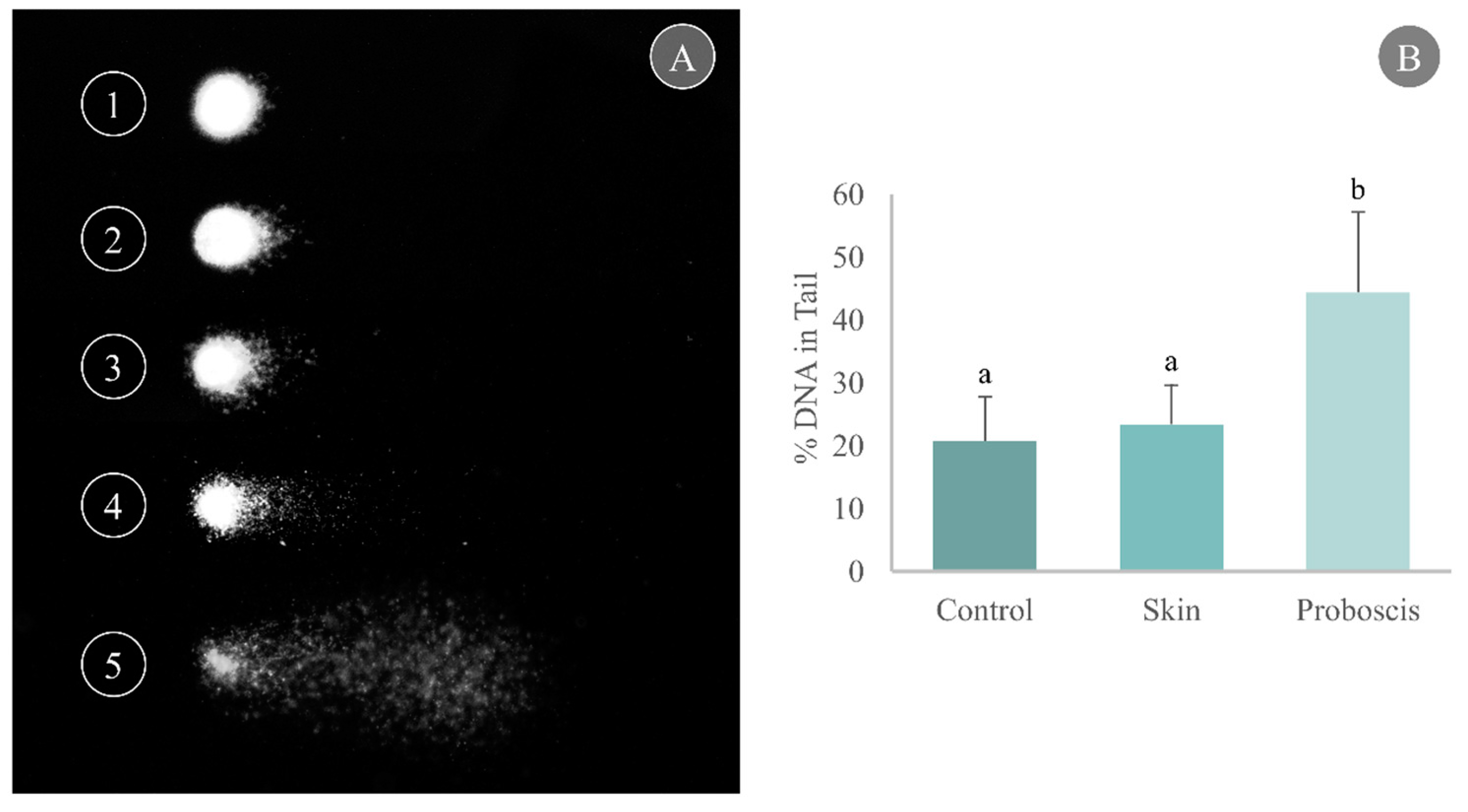 Toxins 15 00655 g004