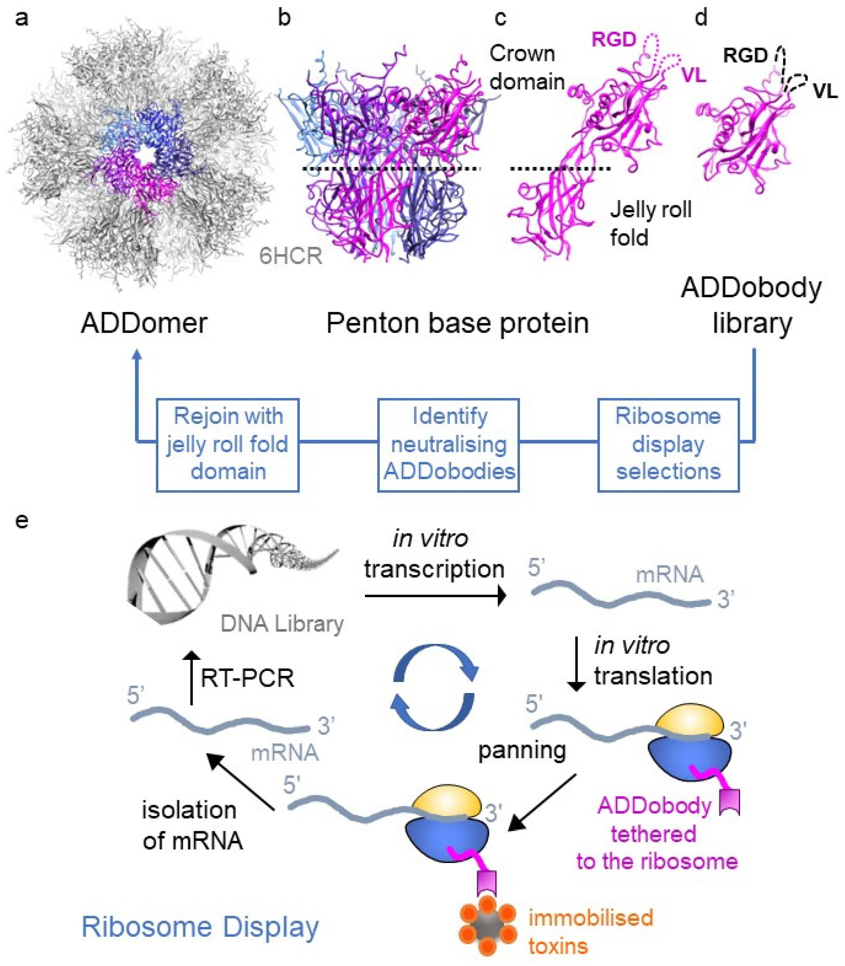 Toxins 15 00673 g001