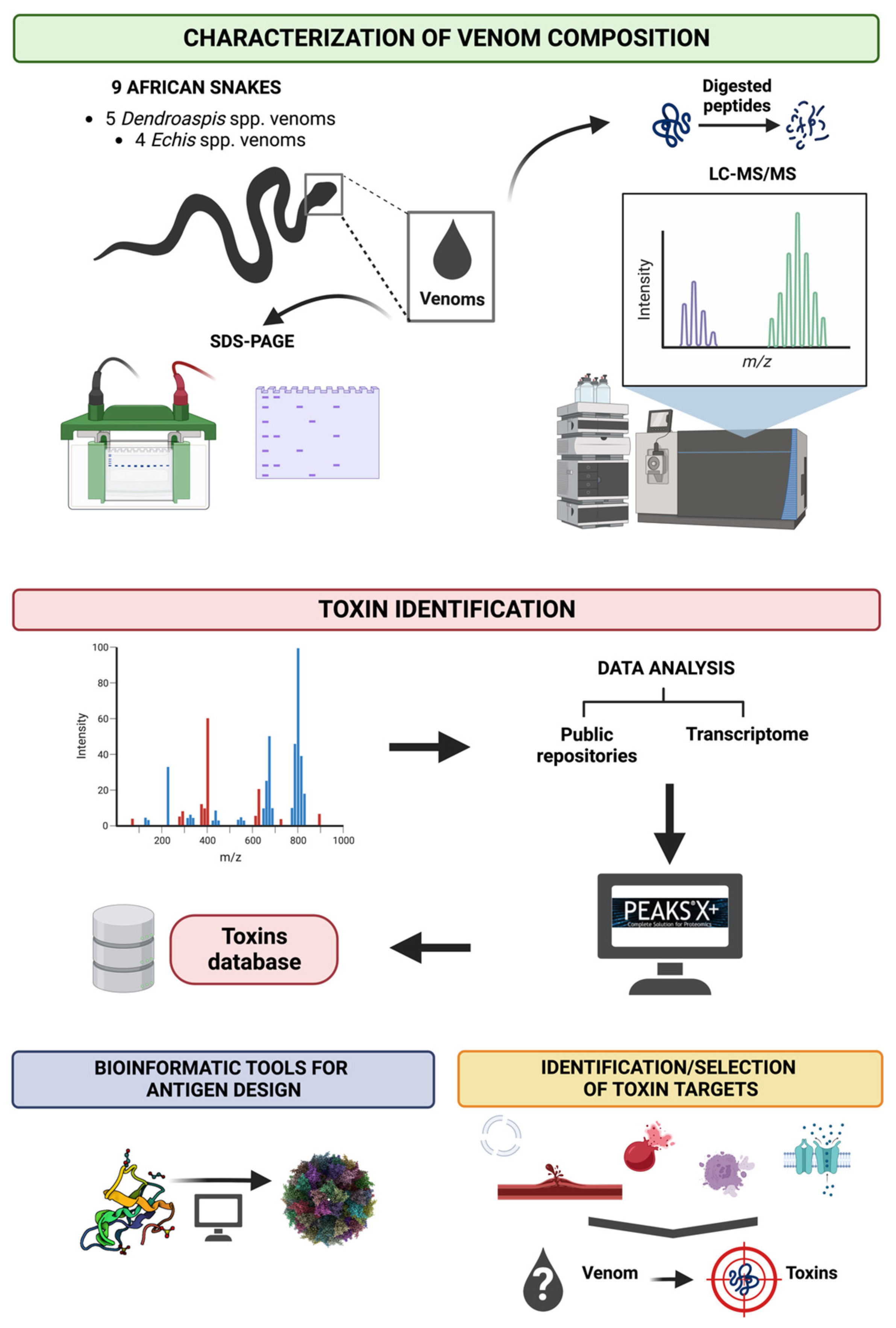 Toxins 15 00673 g003
