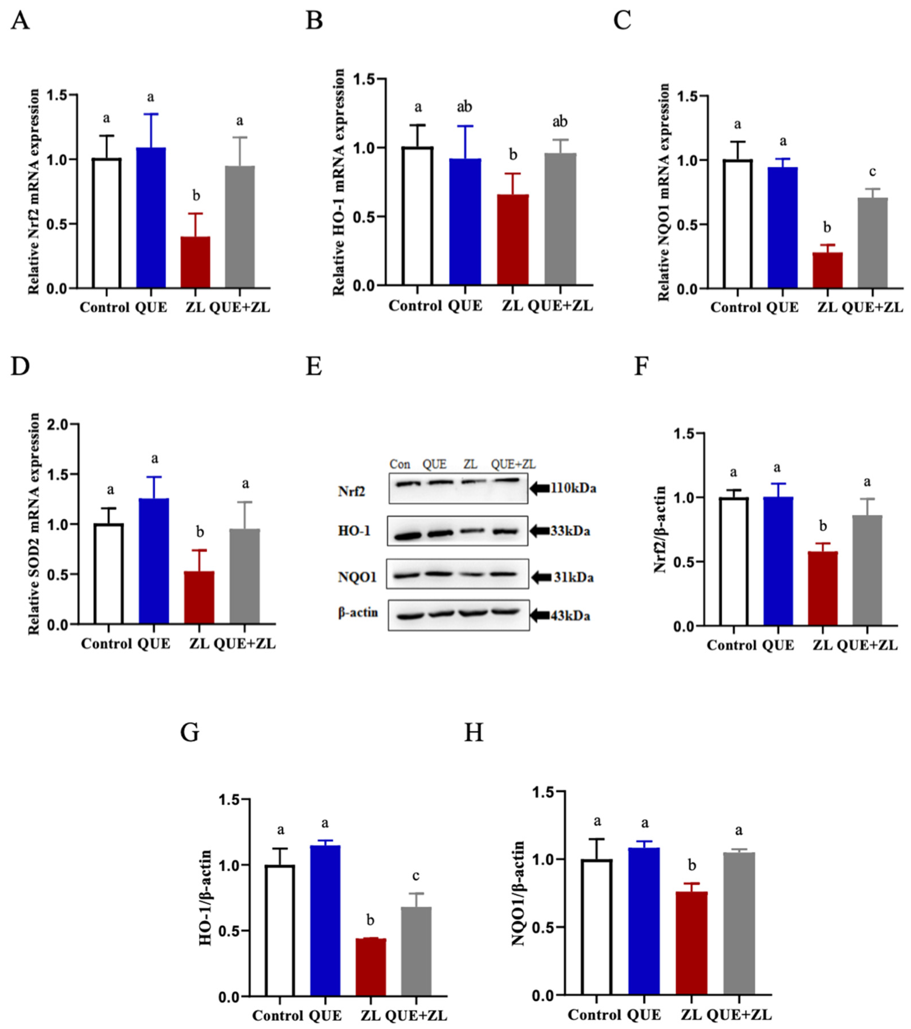 Toxins 15 00679 g005