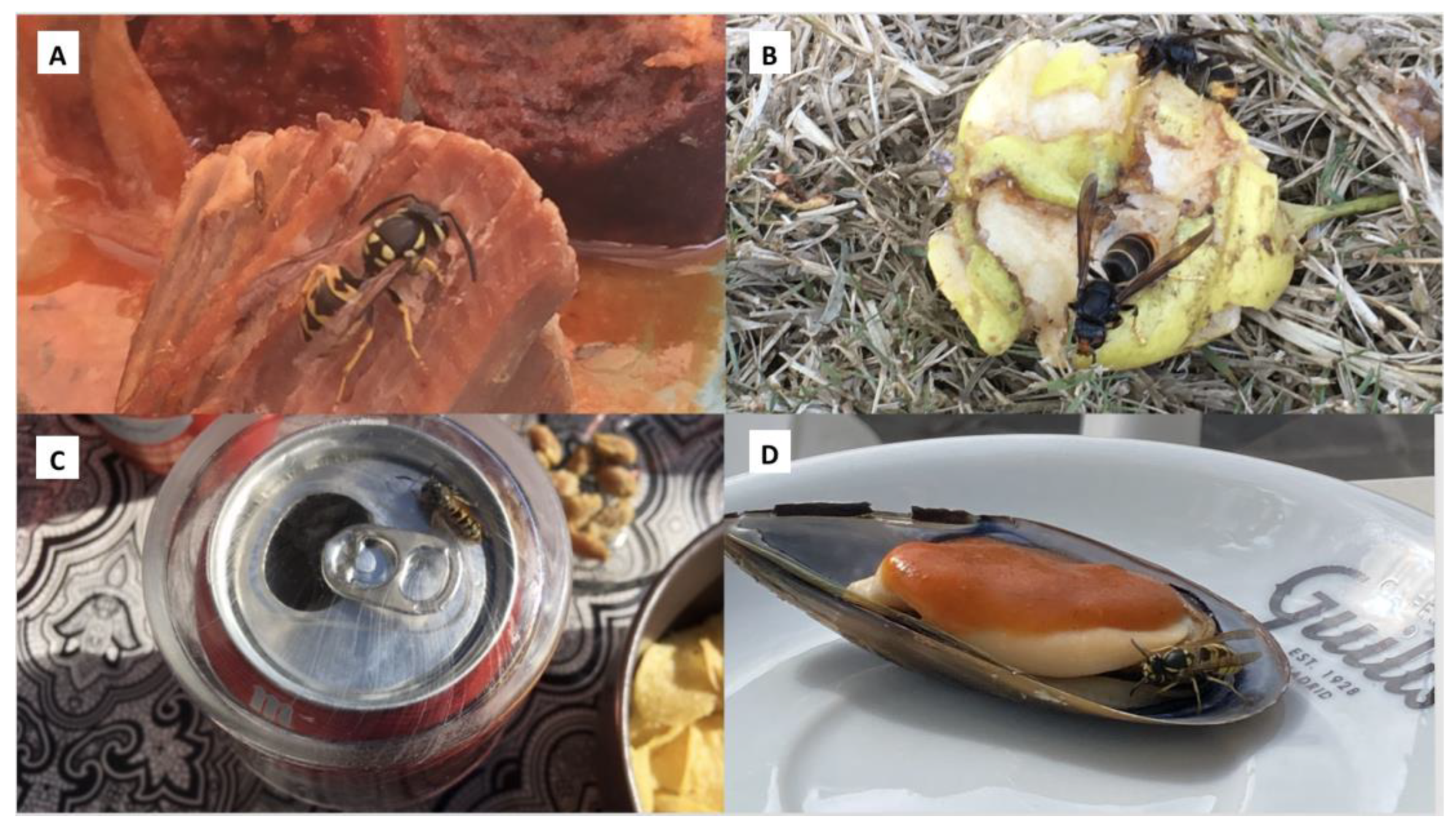 Toxins 15 00680 g001