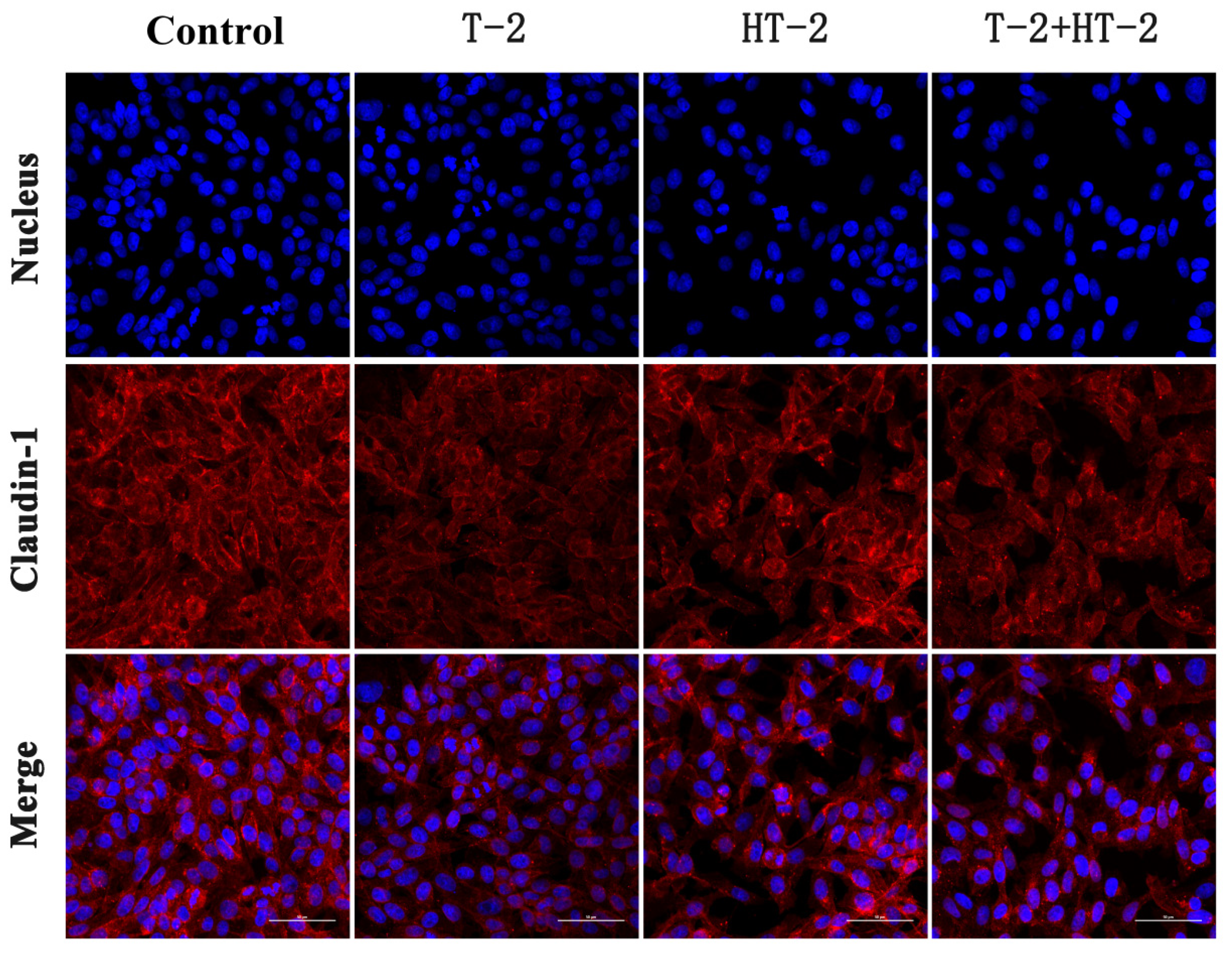 Toxins 15 00682 g002