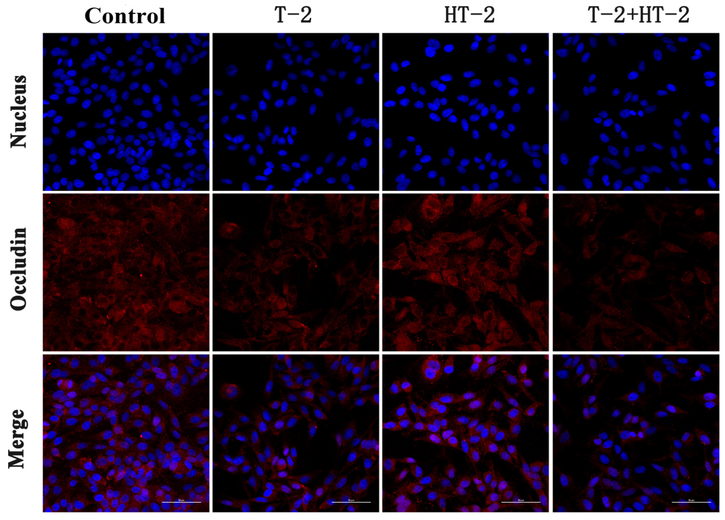 Toxins 15 00682 g003