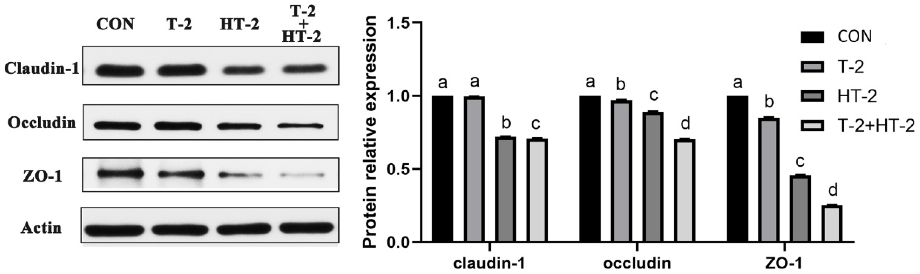 Toxins 15 00682 g006