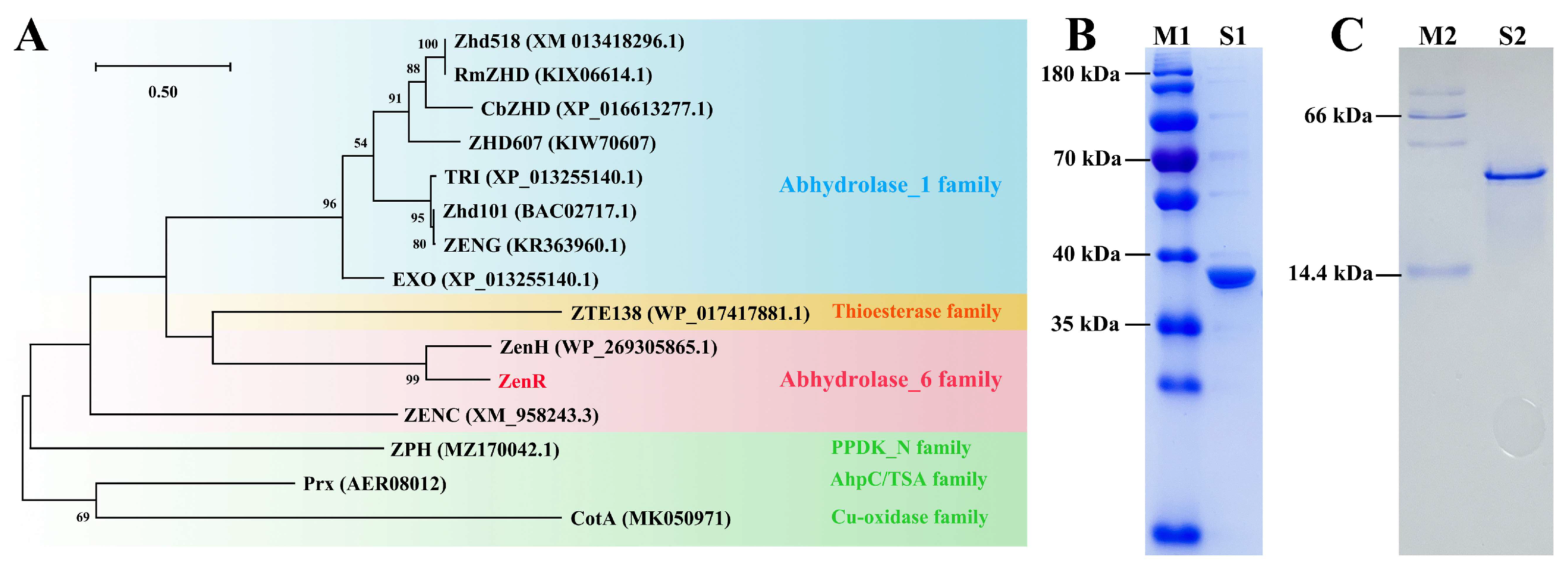 Toxins 15 00688 g002
