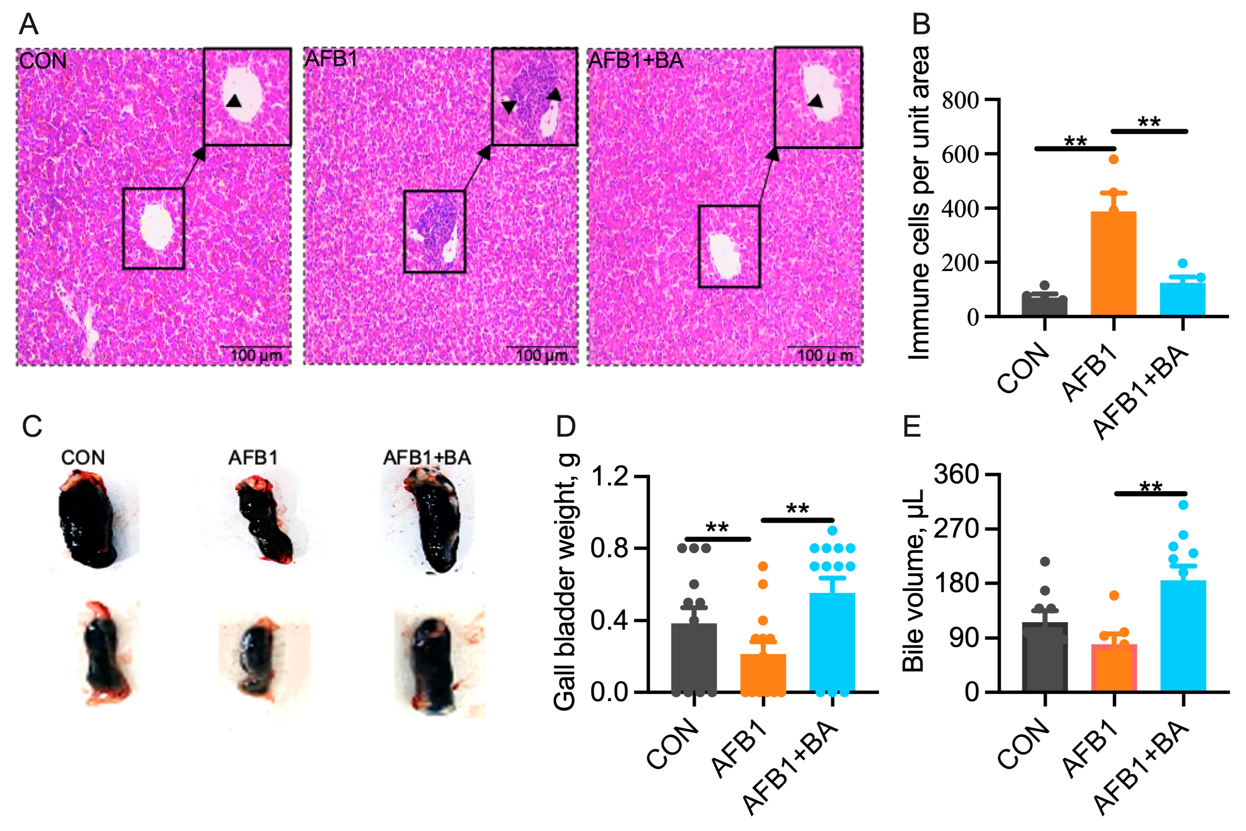 Toxins 15 00694 g001