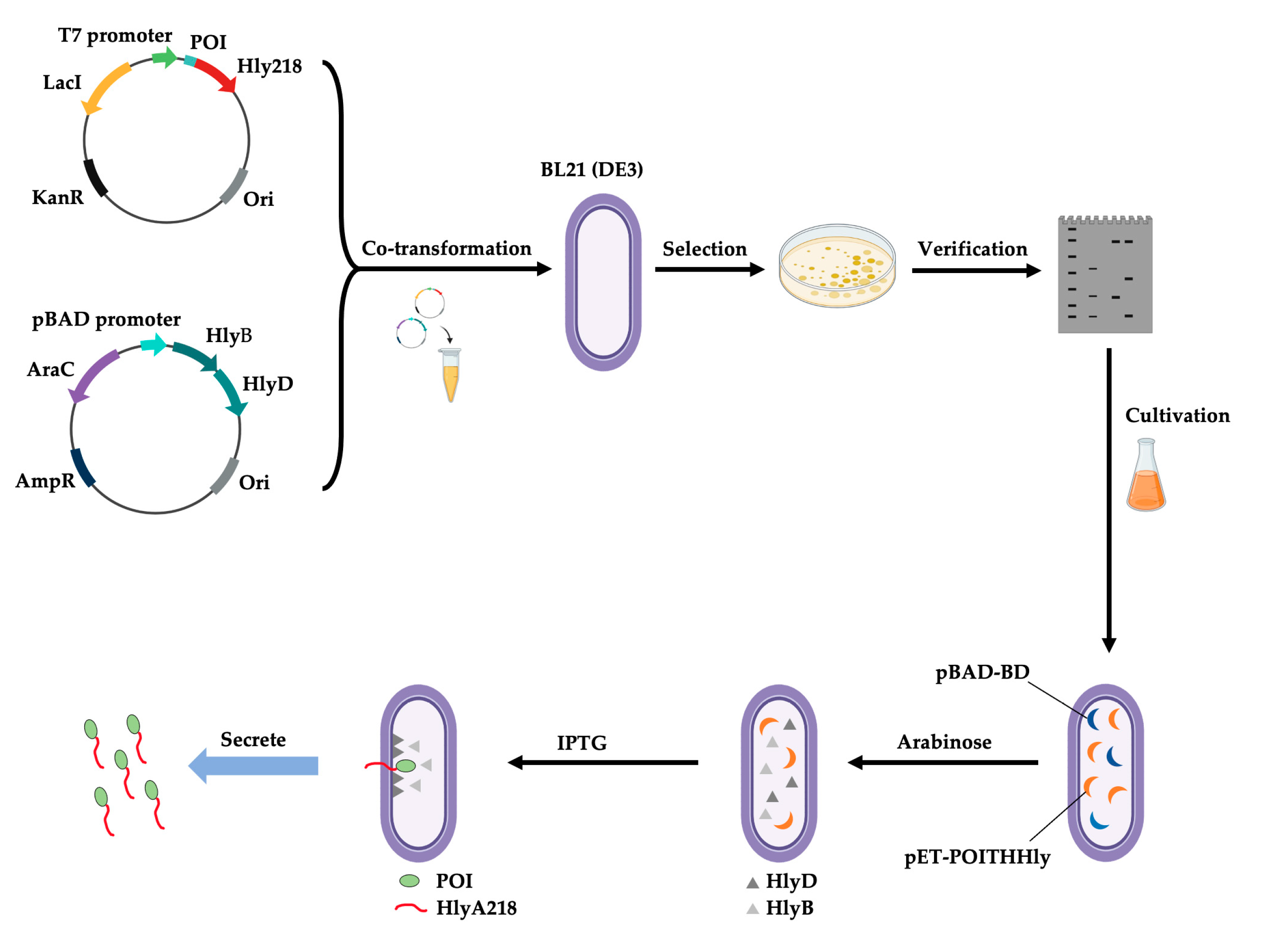 Toxins 15 00699 g011