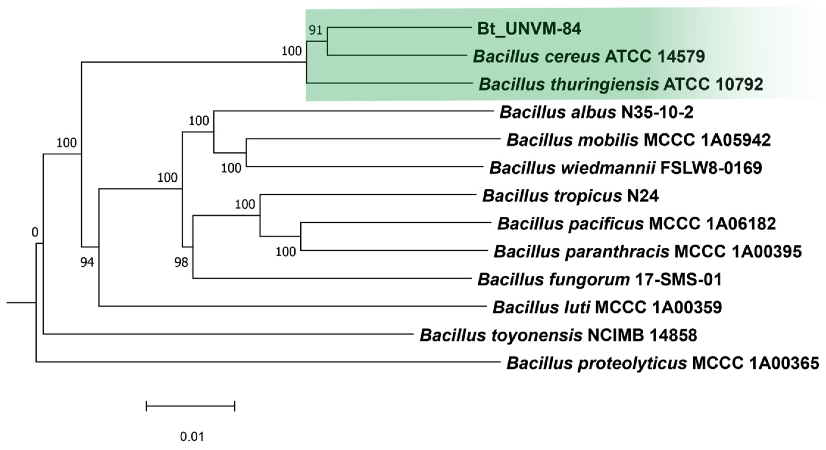 Toxins 16 00004 g003 Toxins 16 00004 g003