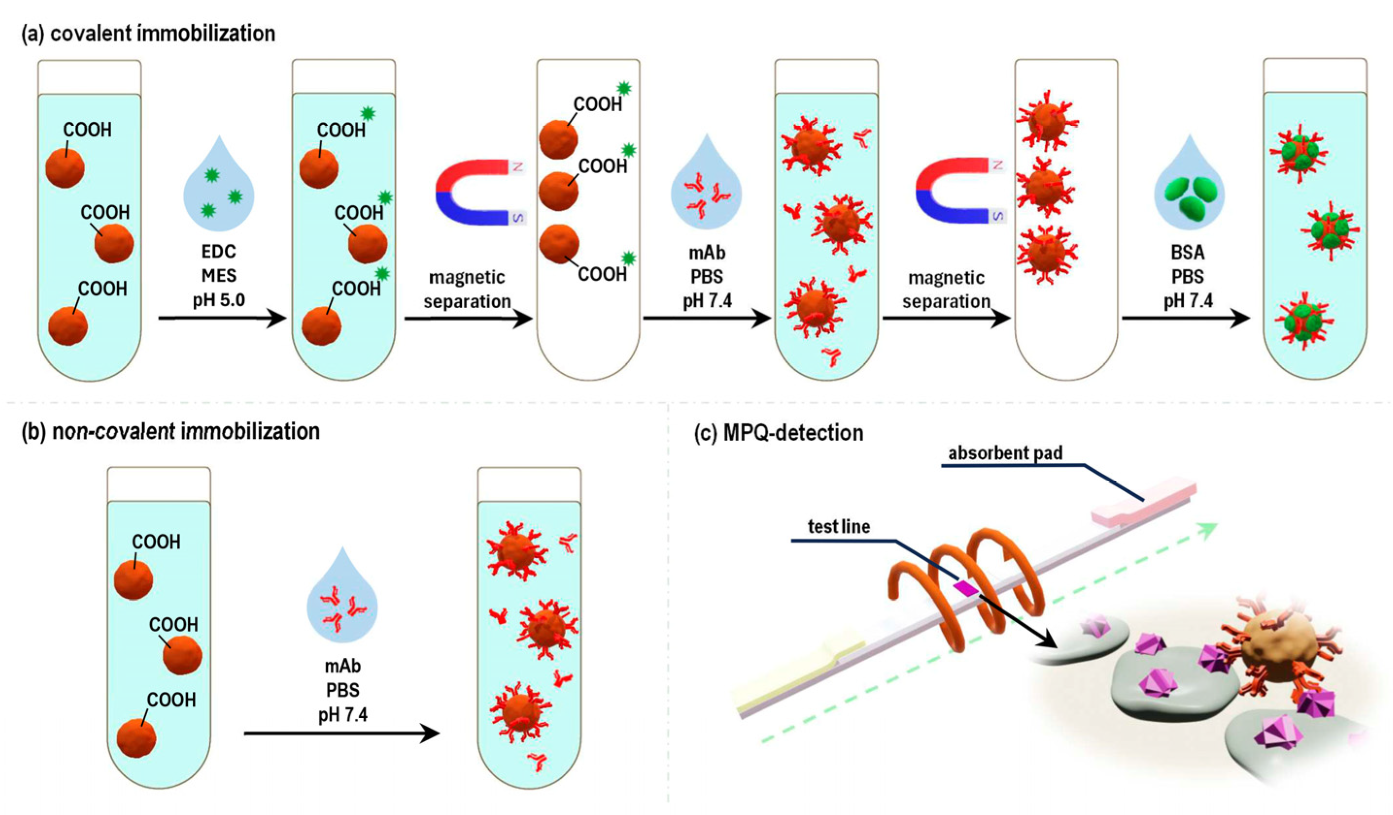 Toxins 16 00005 g002