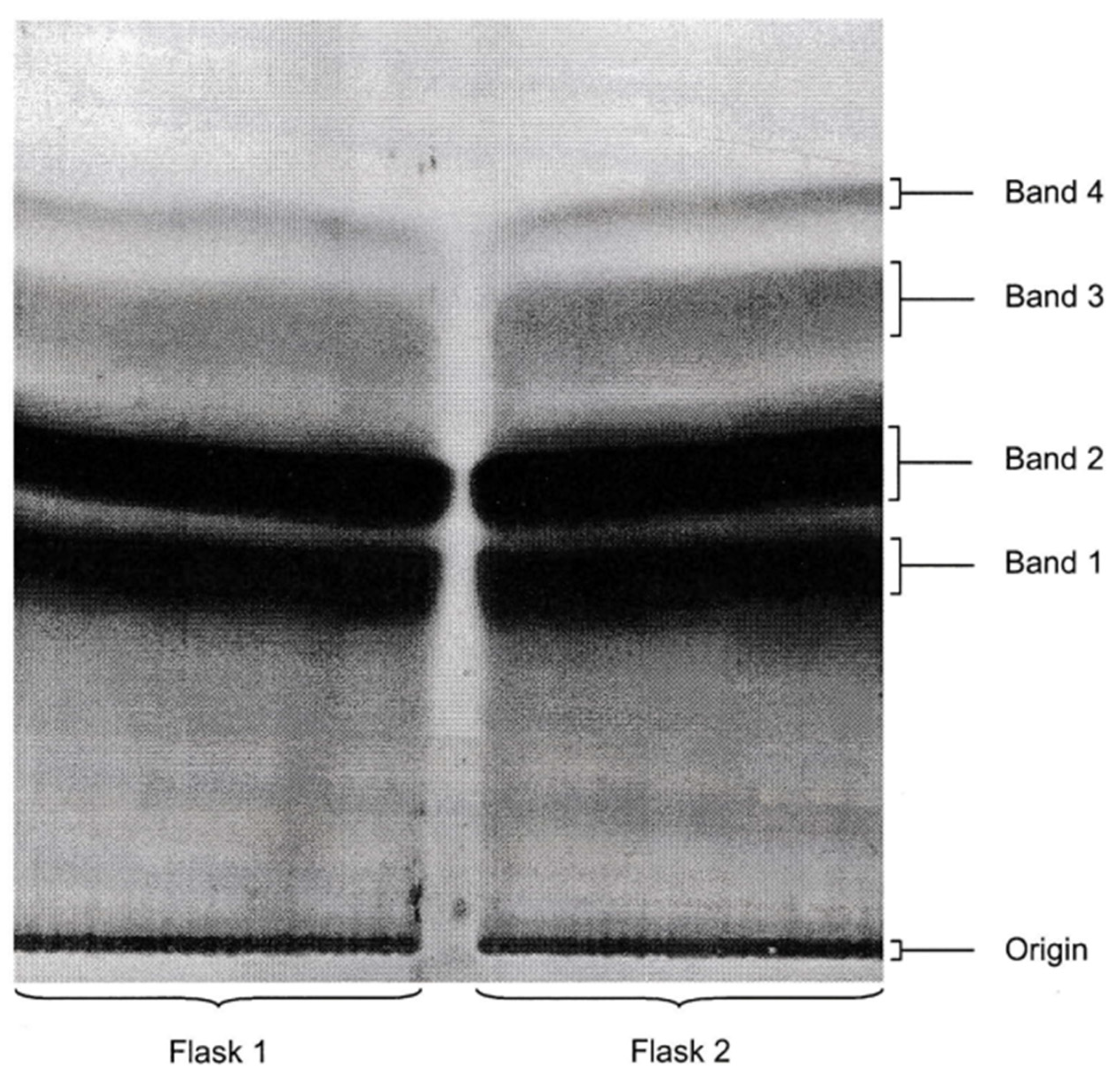 Toxins 16 00008 g005