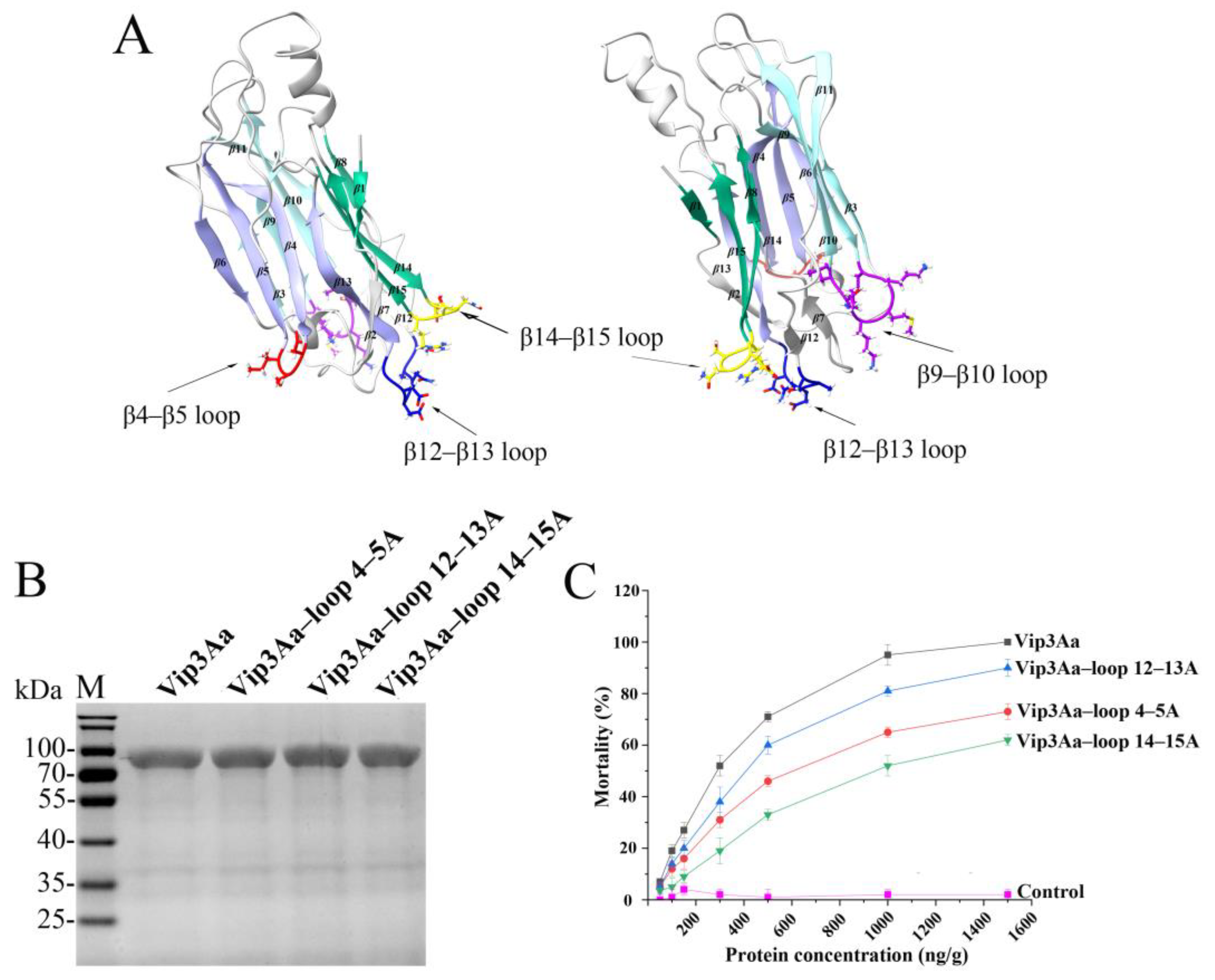 Toxins 16 00023 g001 Toxins 16 00023 g001