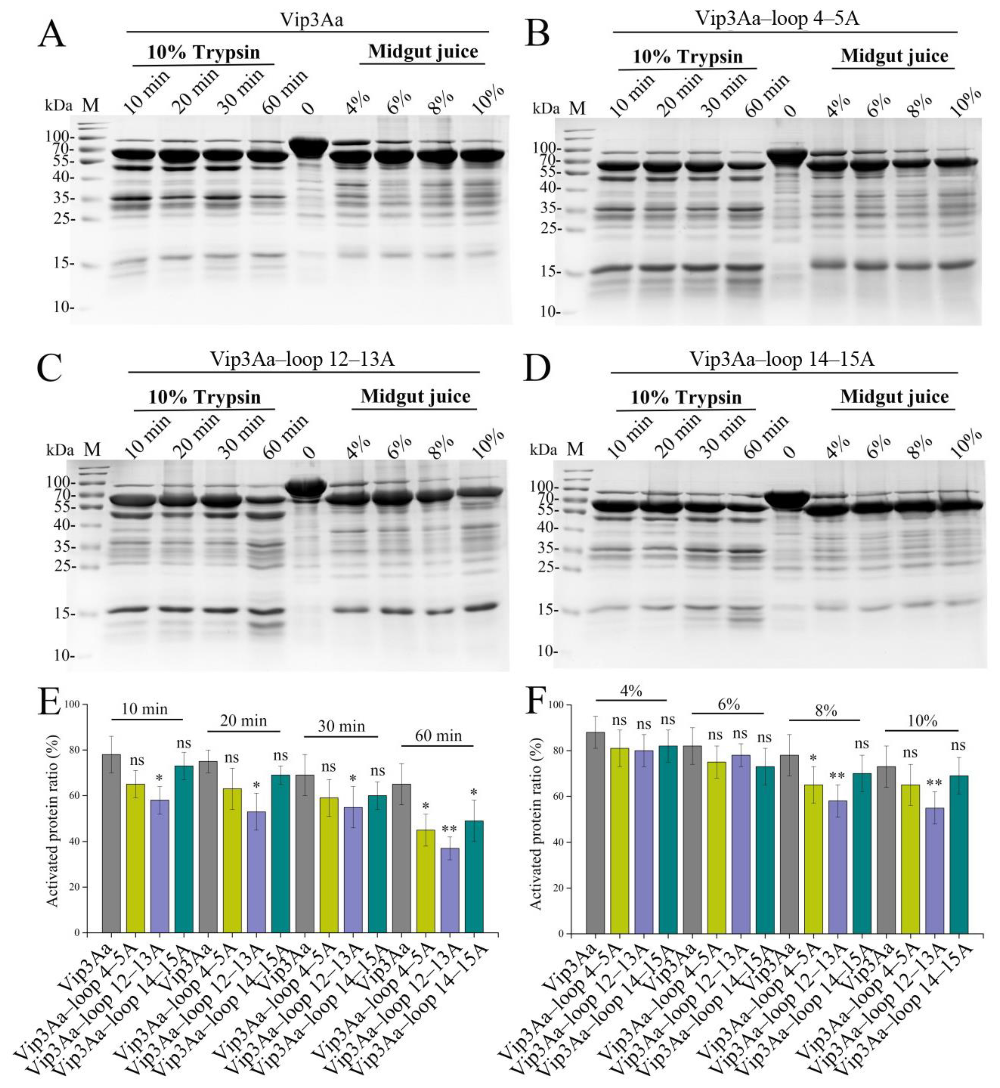 Toxins 16 00023 g002 Toxins 16 00023 g002