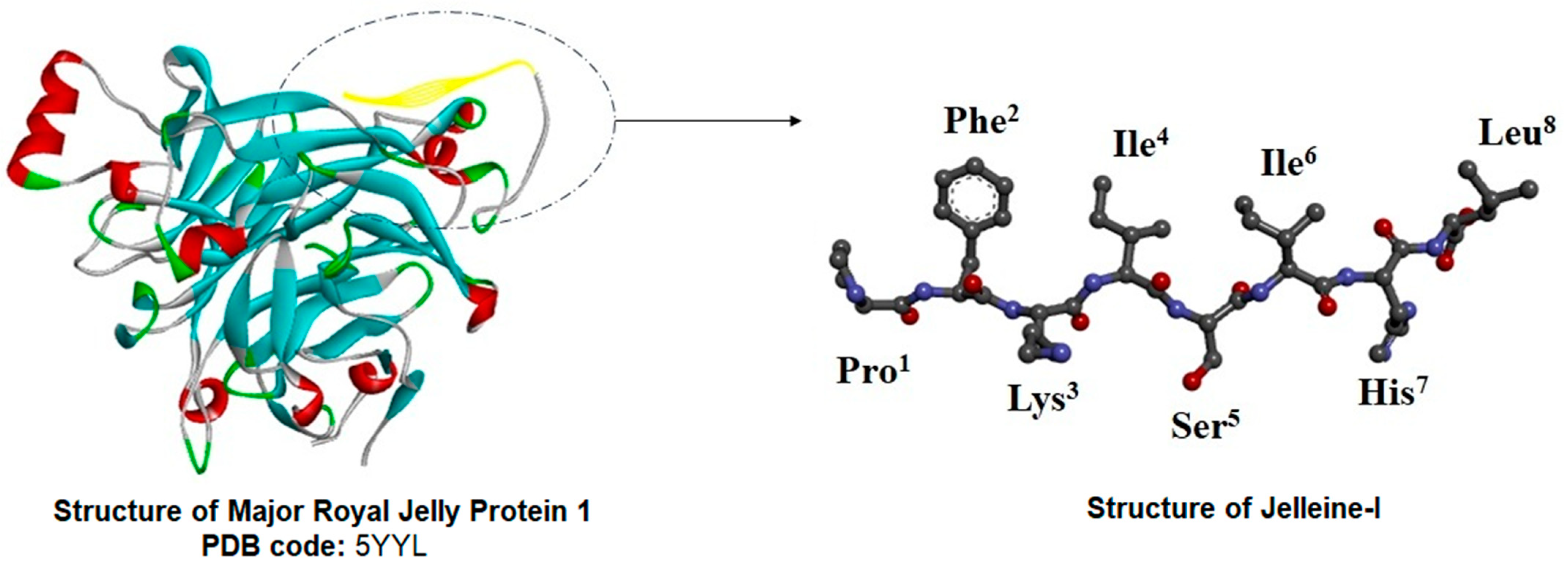 Toxins 16 00024 g002