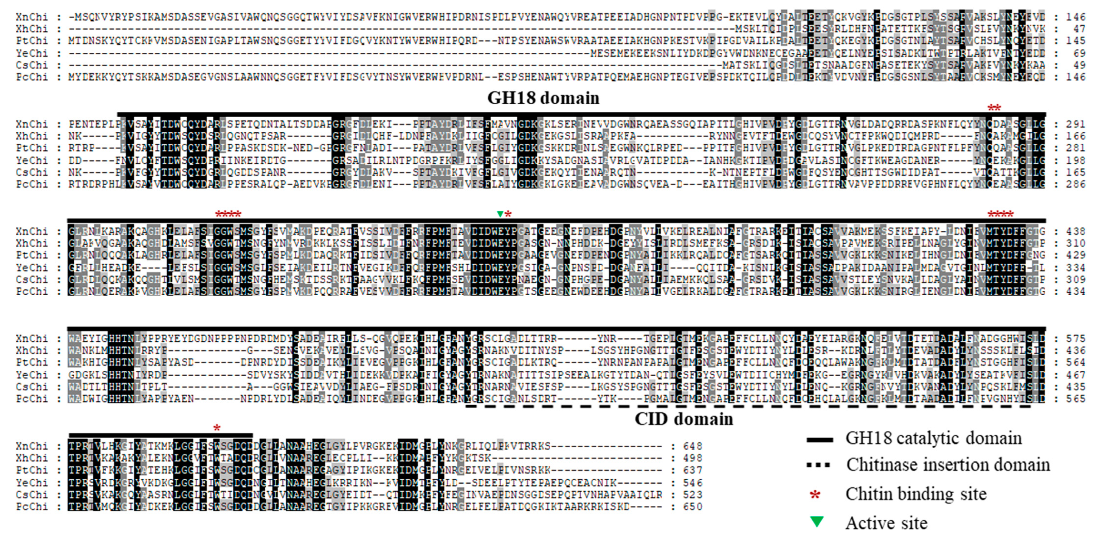 Toxins 16 00026 g001