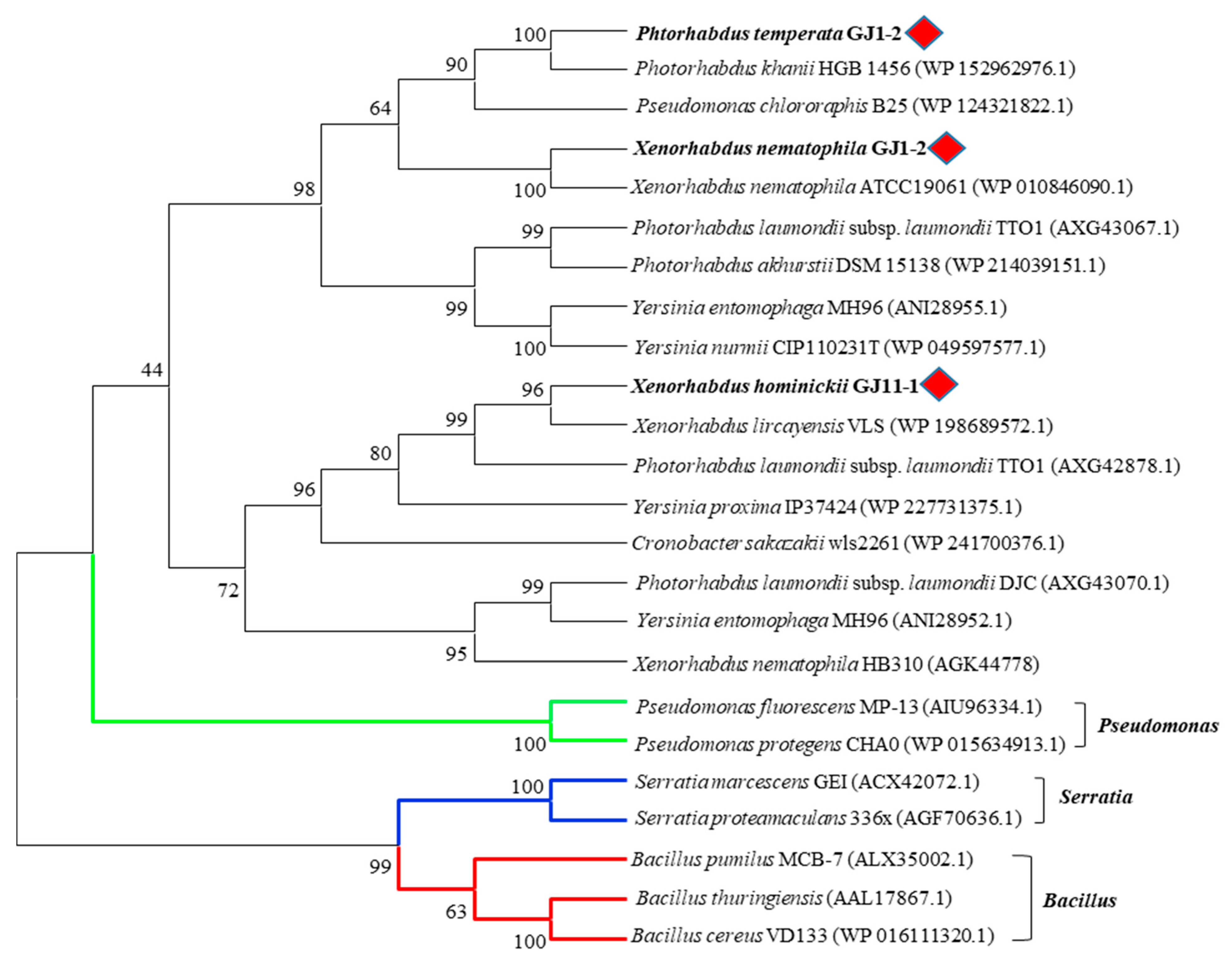 Toxins 16 00026 g002