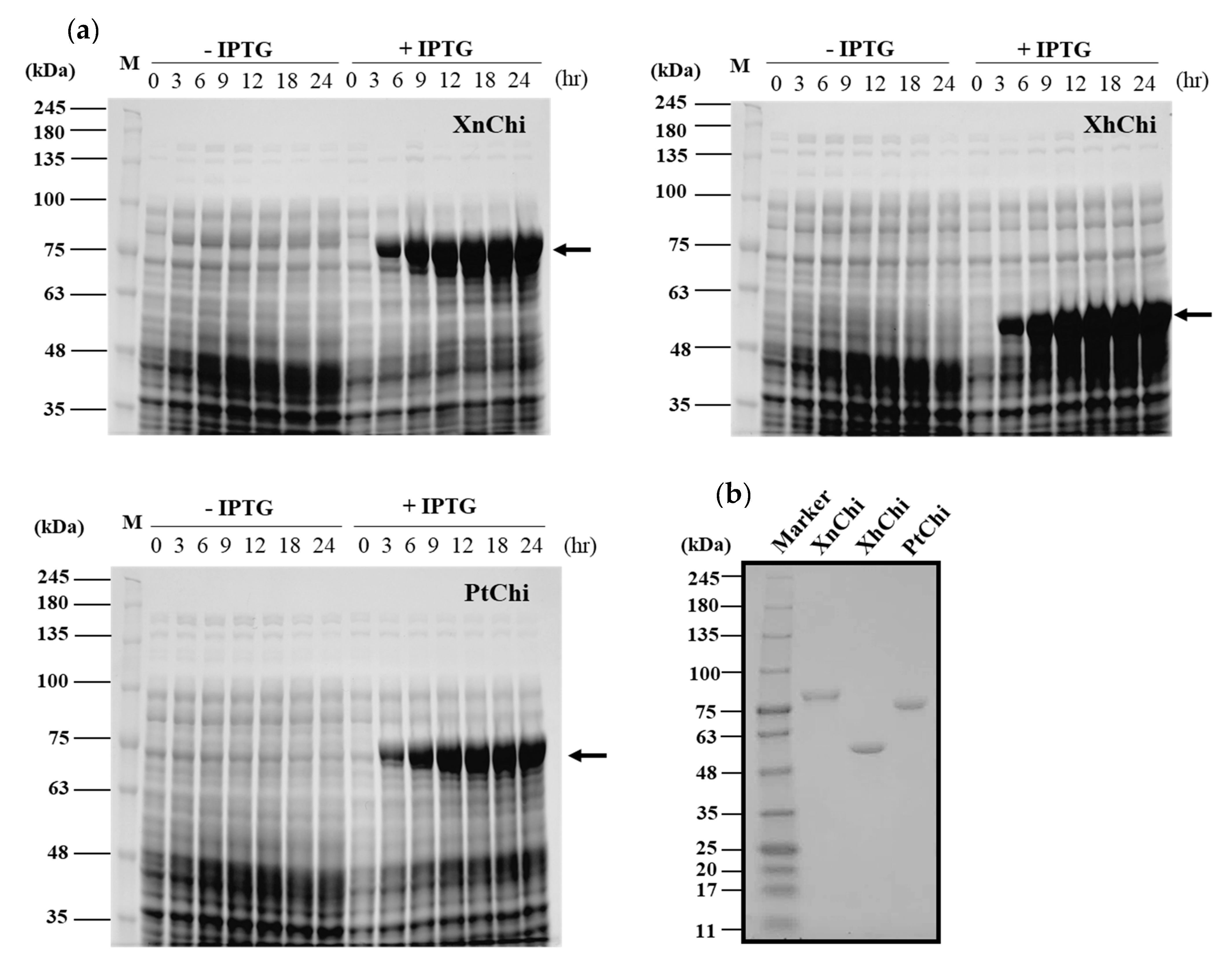 Toxins 16 00026 g003