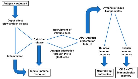 Toxins 16 00033 g003