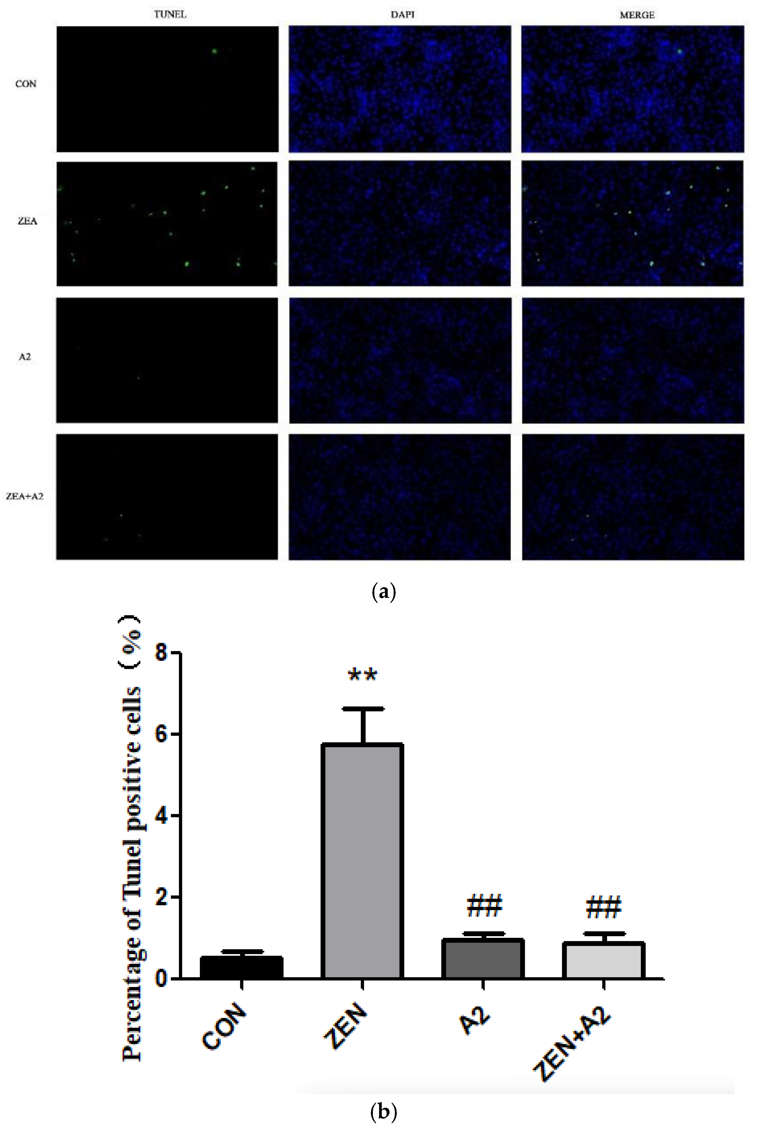 Toxins 16 00044 g002